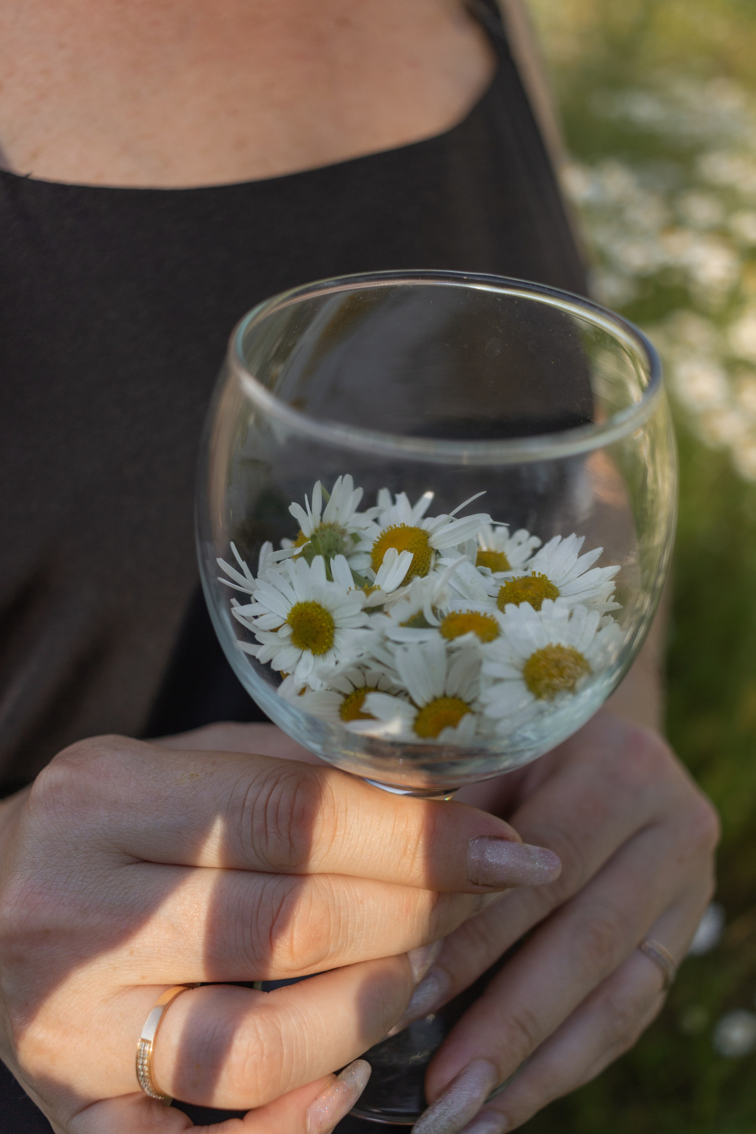 Ромашковое поле. Фотограф в Городце Розова Елена