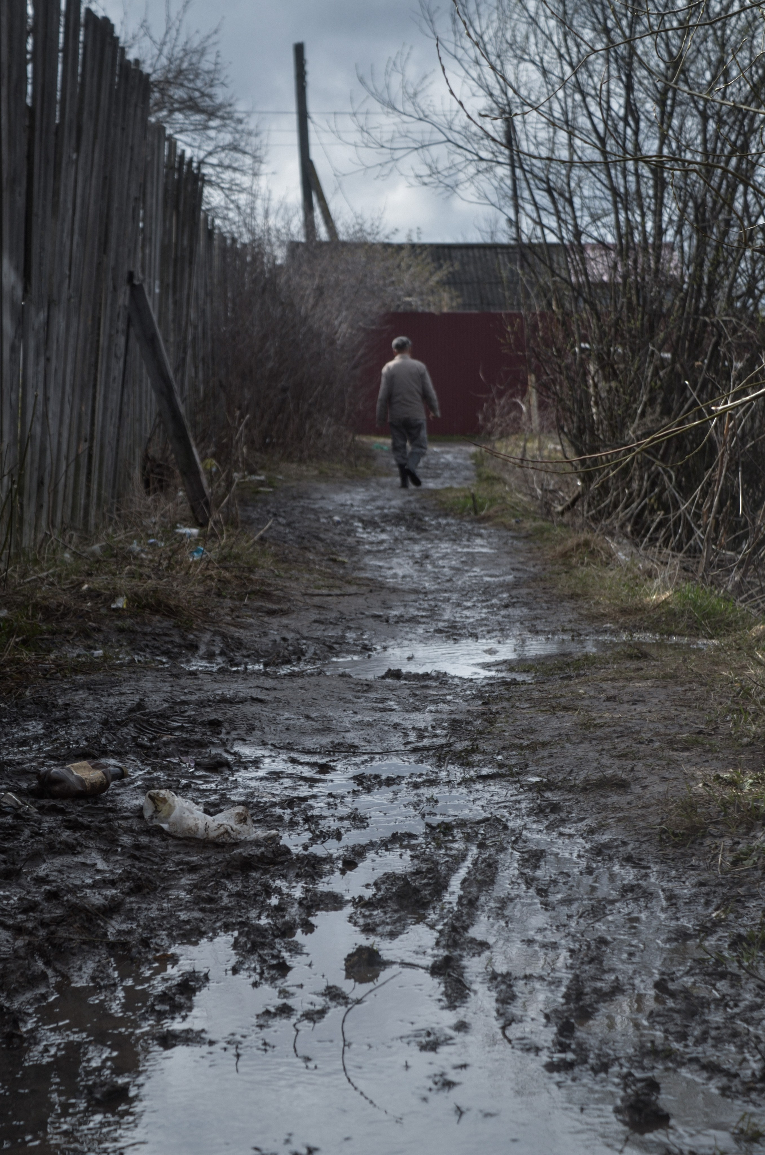 «П.ДД.Н». Fedor Kalinin