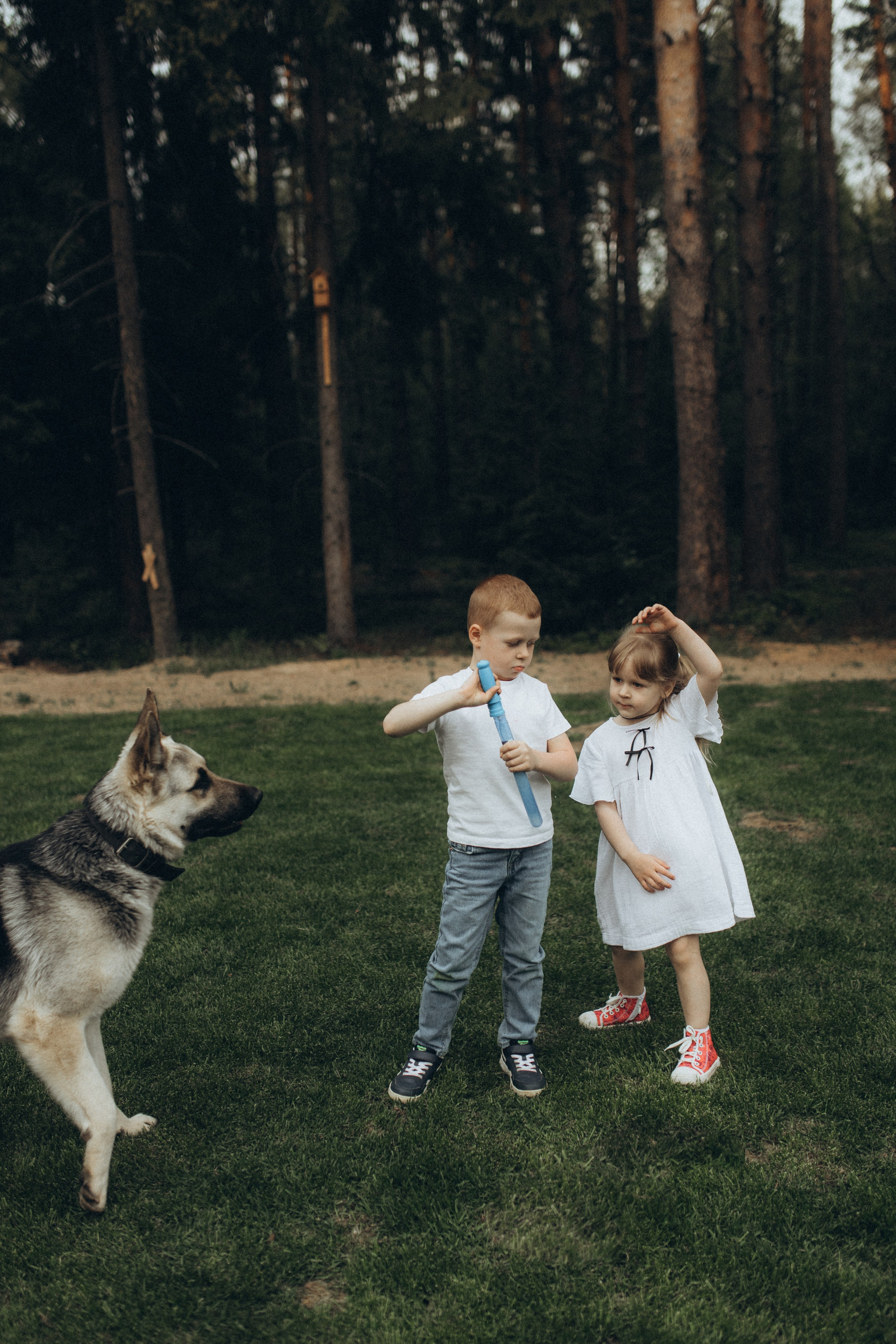 Семейная съемка. Беременность. Фотограф НОГИНСК, Москва, Анастасия Белая