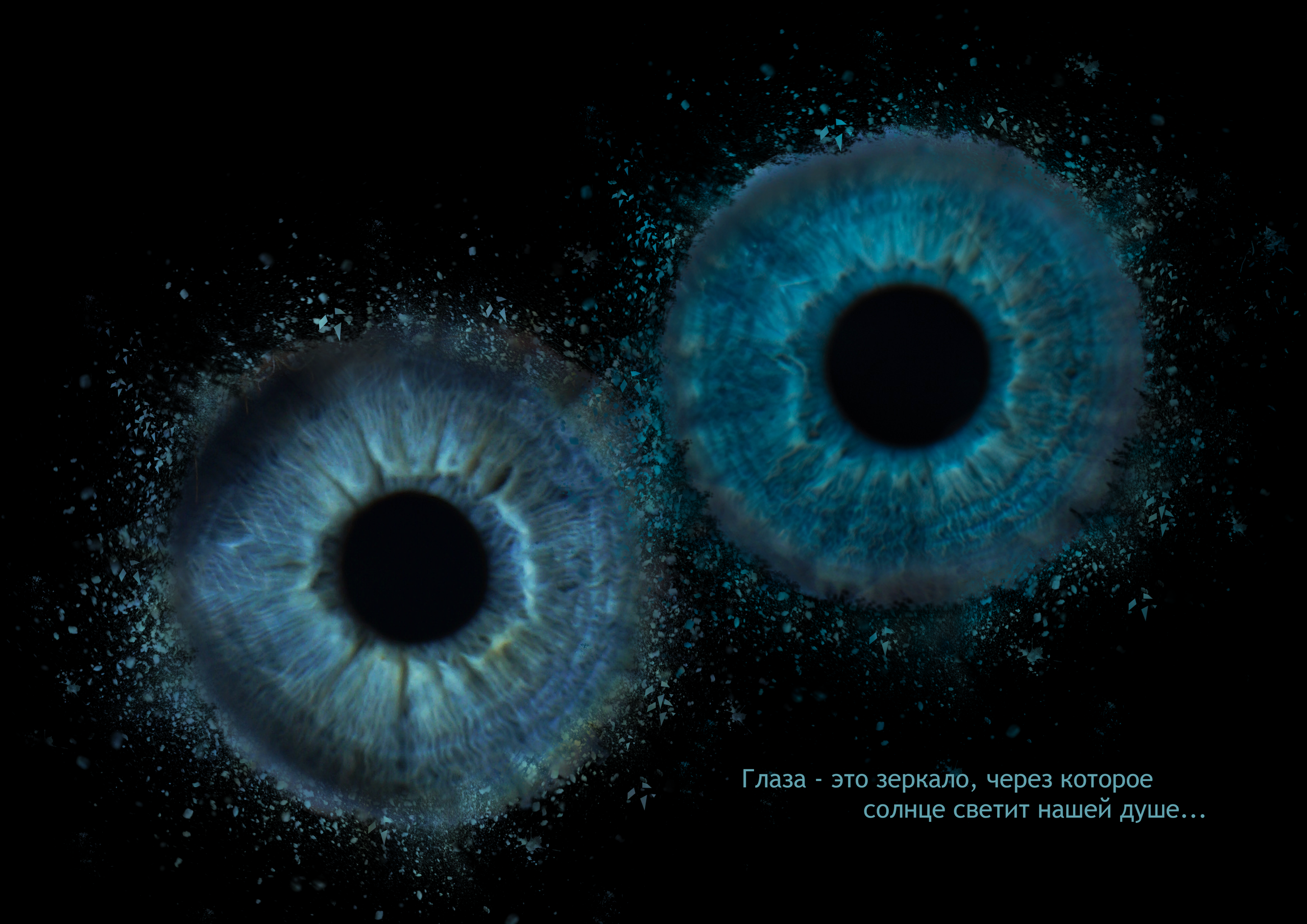 Екатерина 11021830. ShowLab