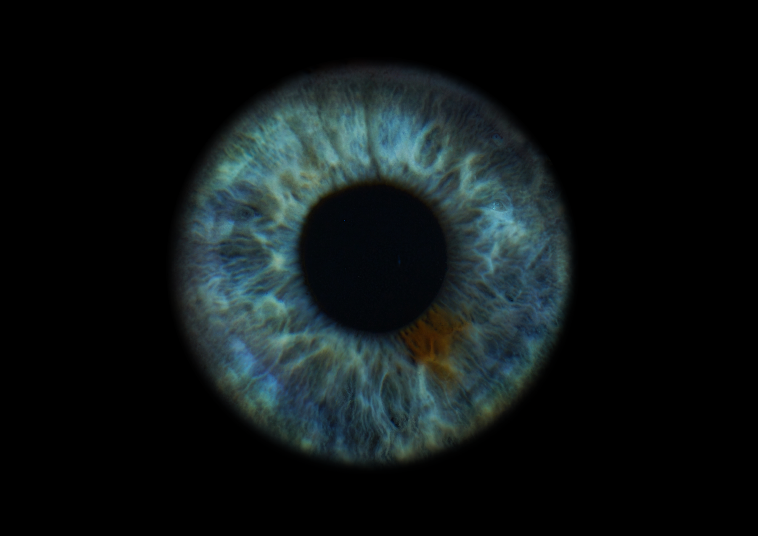 Александра 11022030. ShowLab