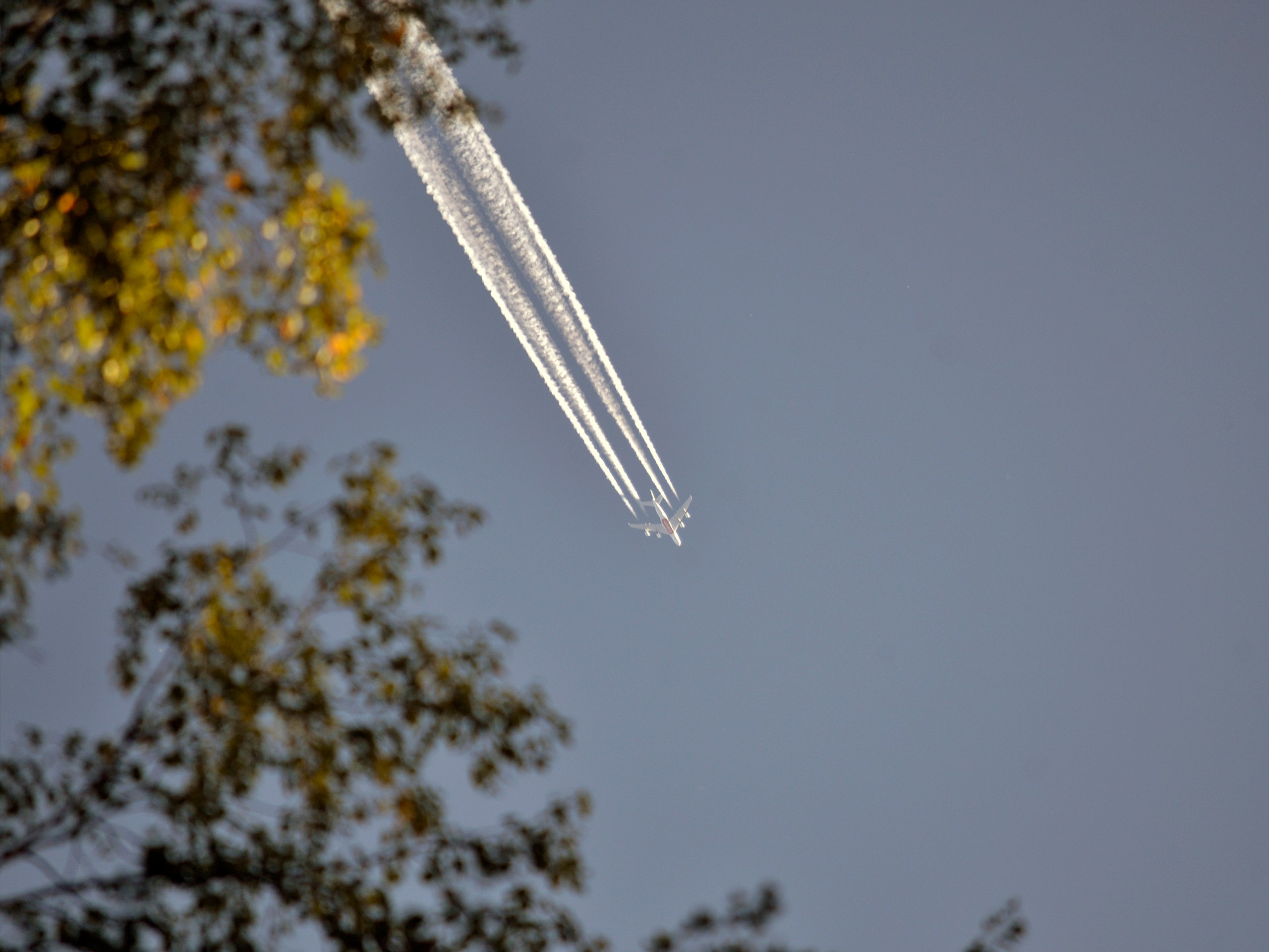 Фотограф | Видеограф в Кургане, Тюмени и Челябинске