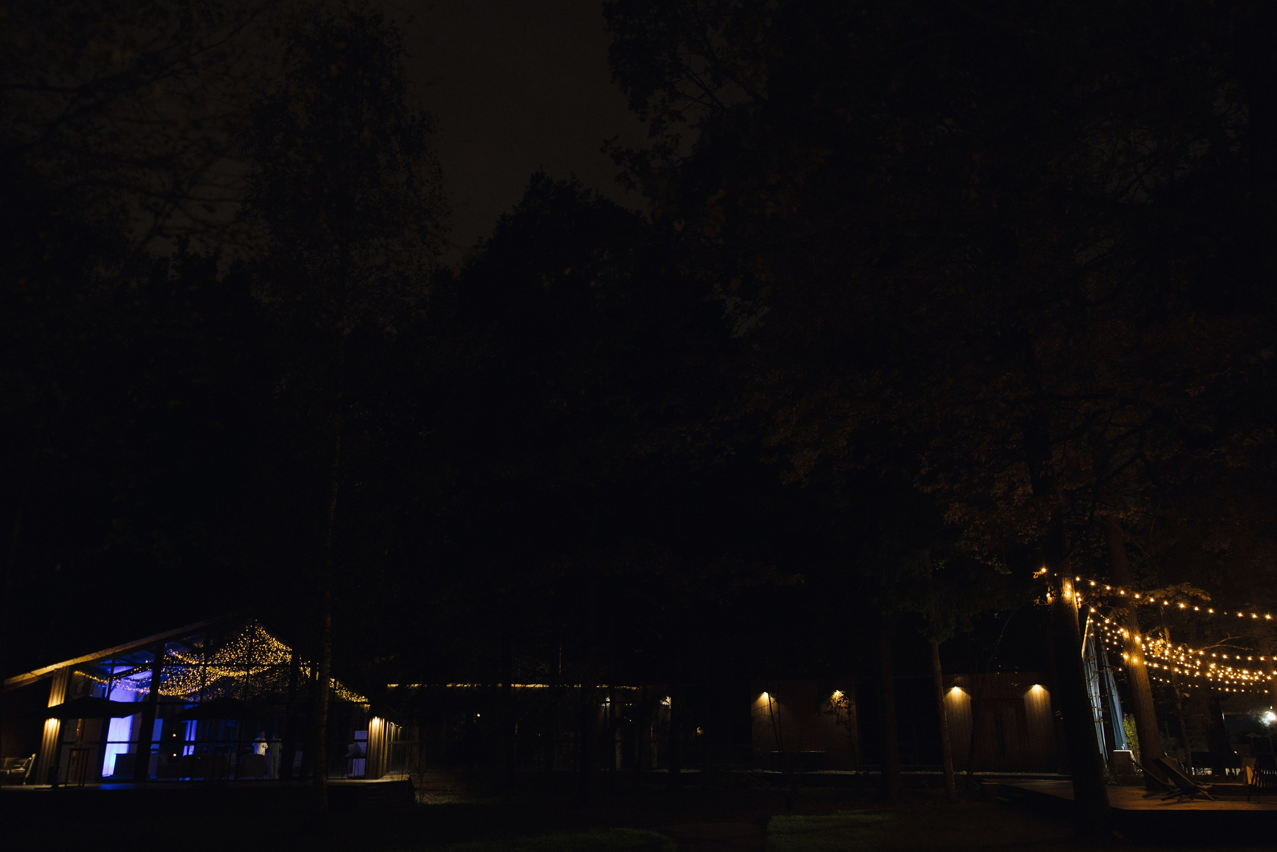 Furever Together. Свадебный фотограф в Москве Дмитрий Тарасов