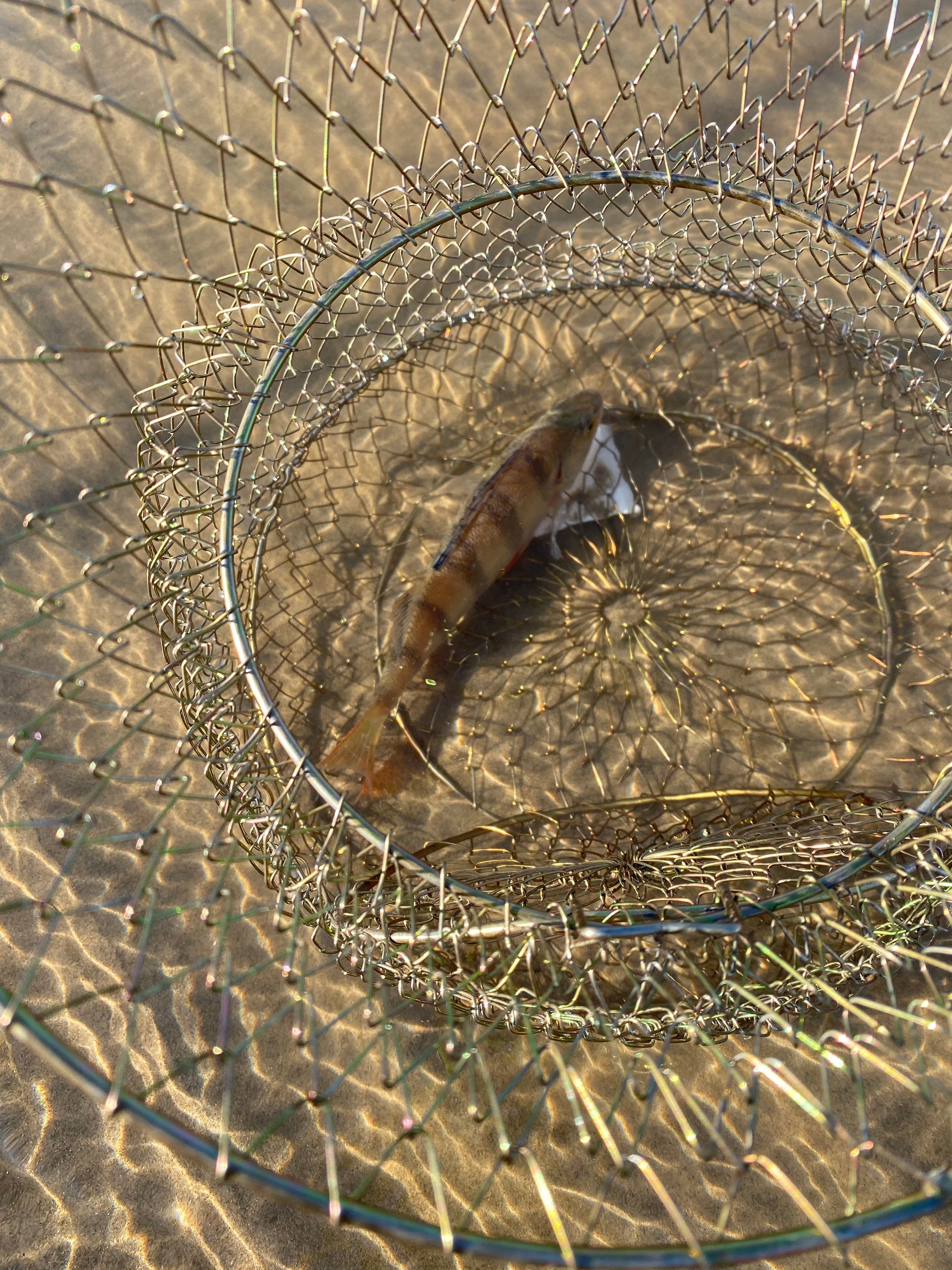 Астрахань — 20. Своя Мастерская