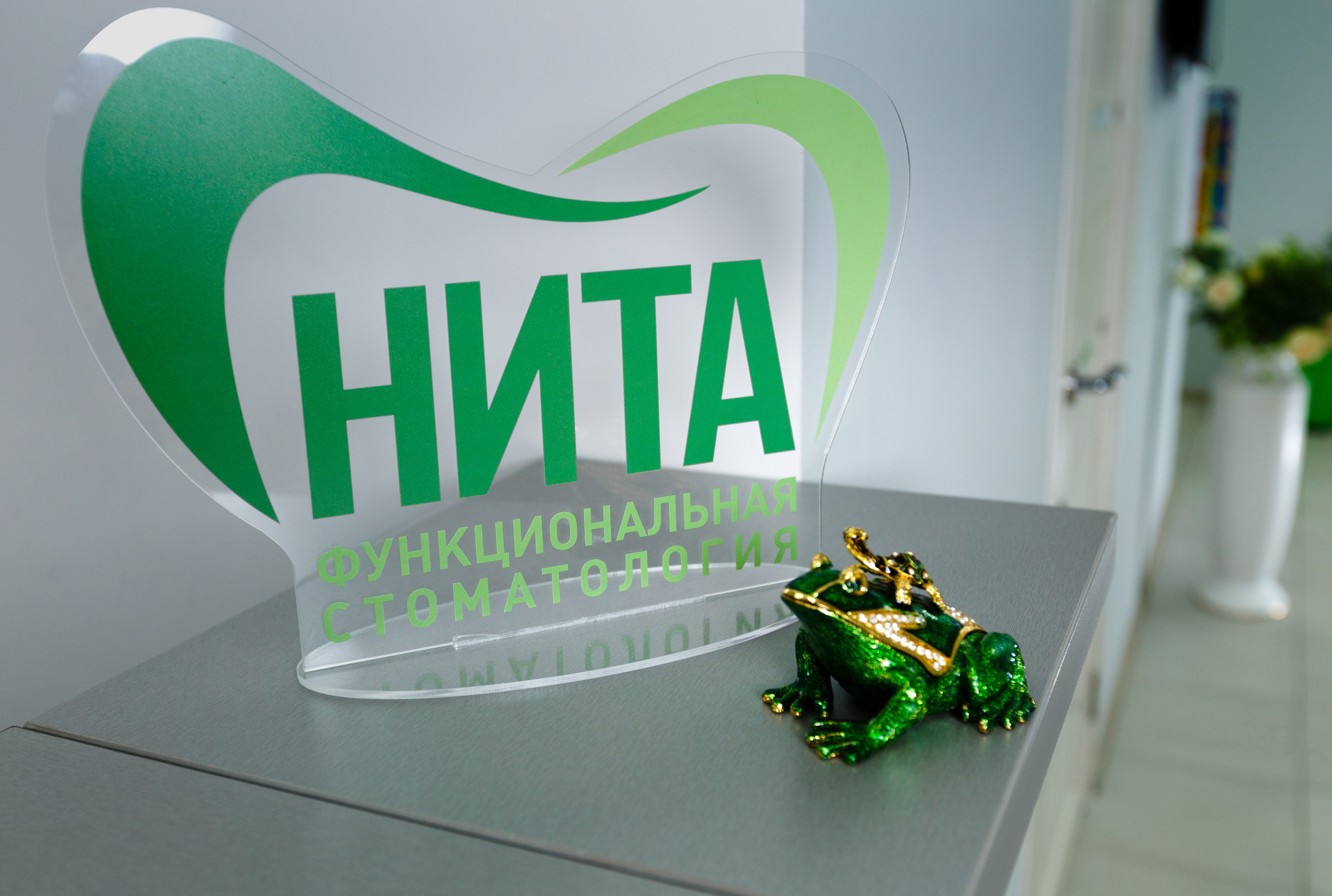 NITA СТОМАТОЛОГИЯ. Выпускные альбомы Красноярск