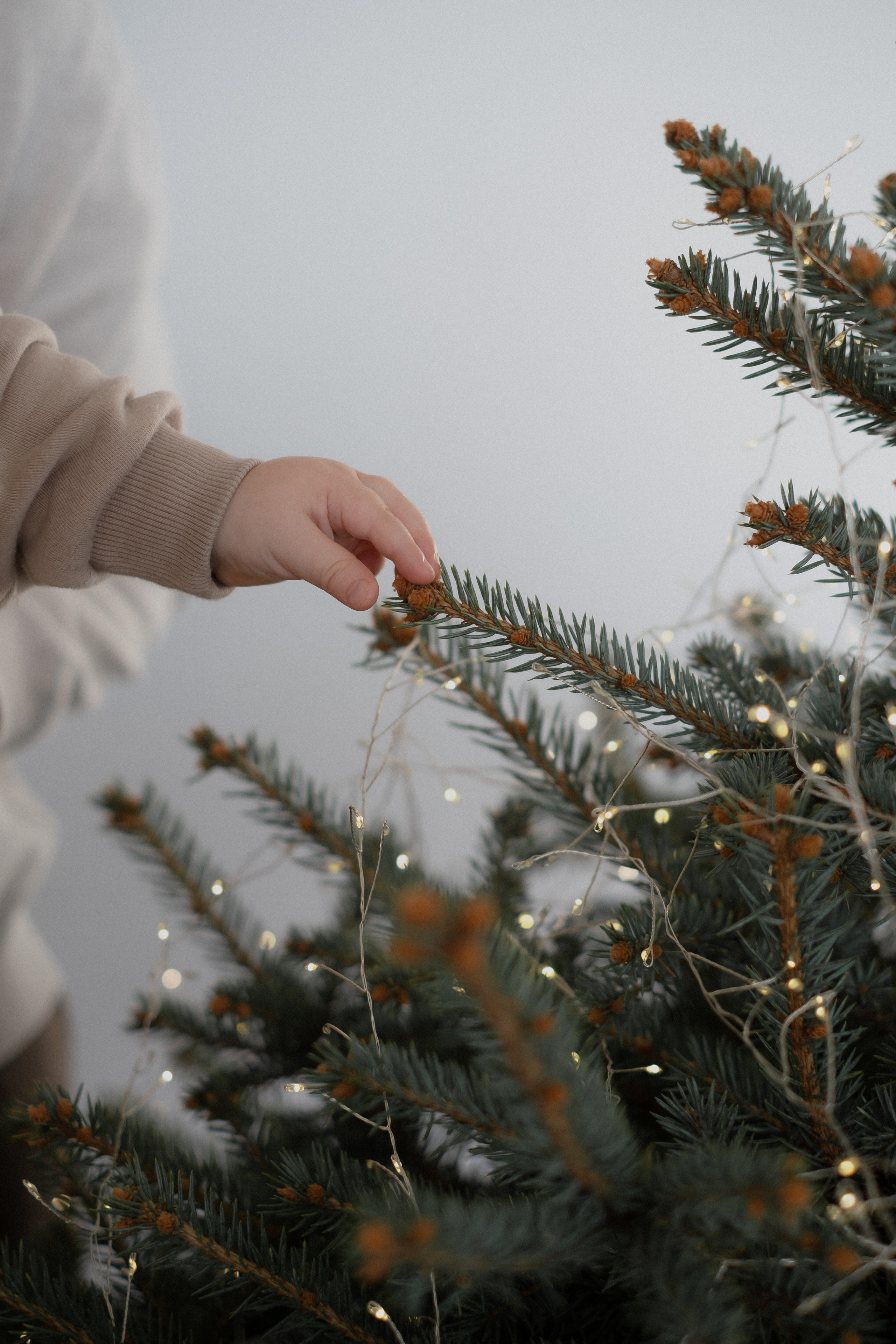 Ирина + Леша + Мирон Новогодняя история. Свадебный и семейный фотограф г. Волгоград Биленко Ангелина