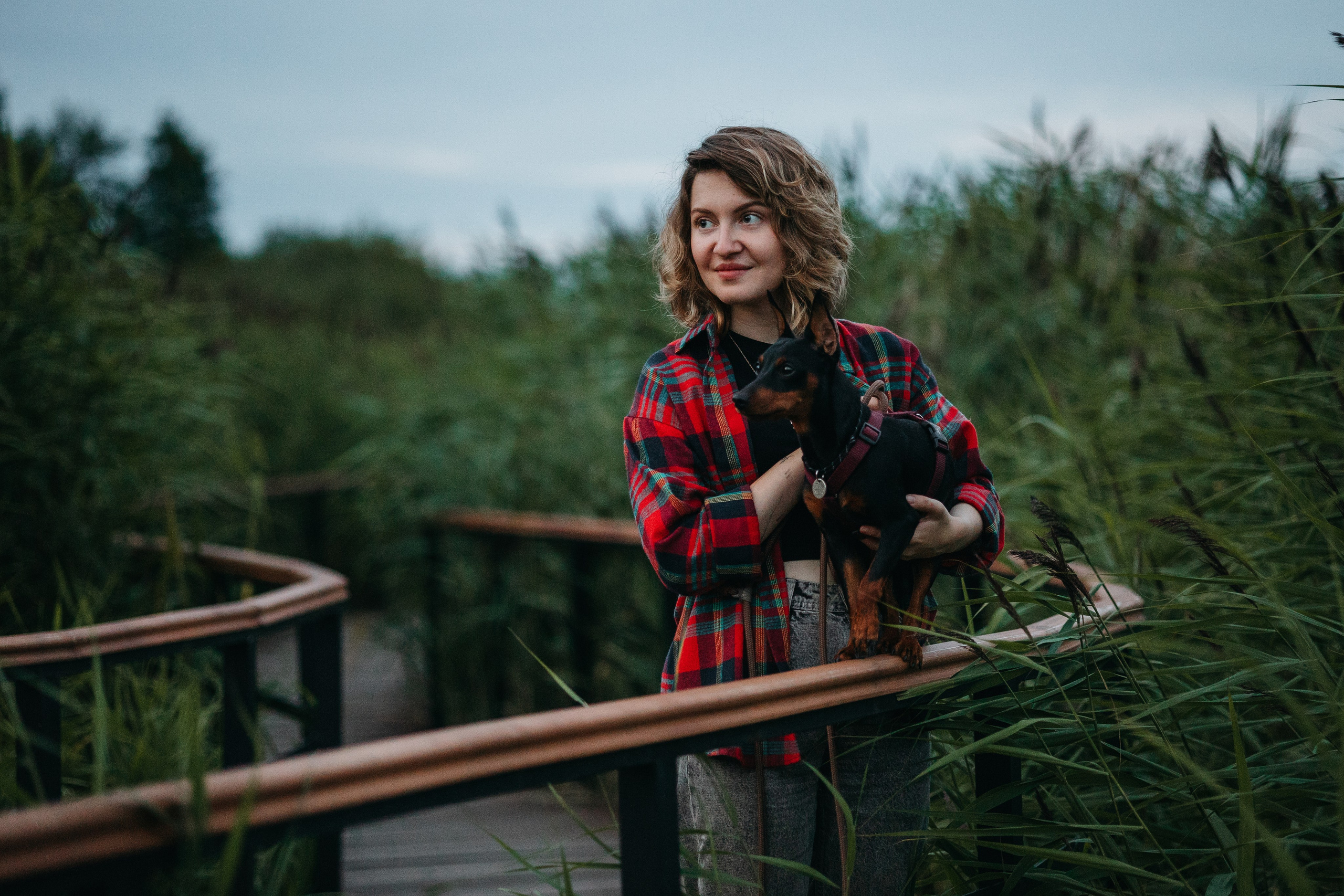 Сириус и его семья. Фотограф — Анималист | Санкт-Петербург