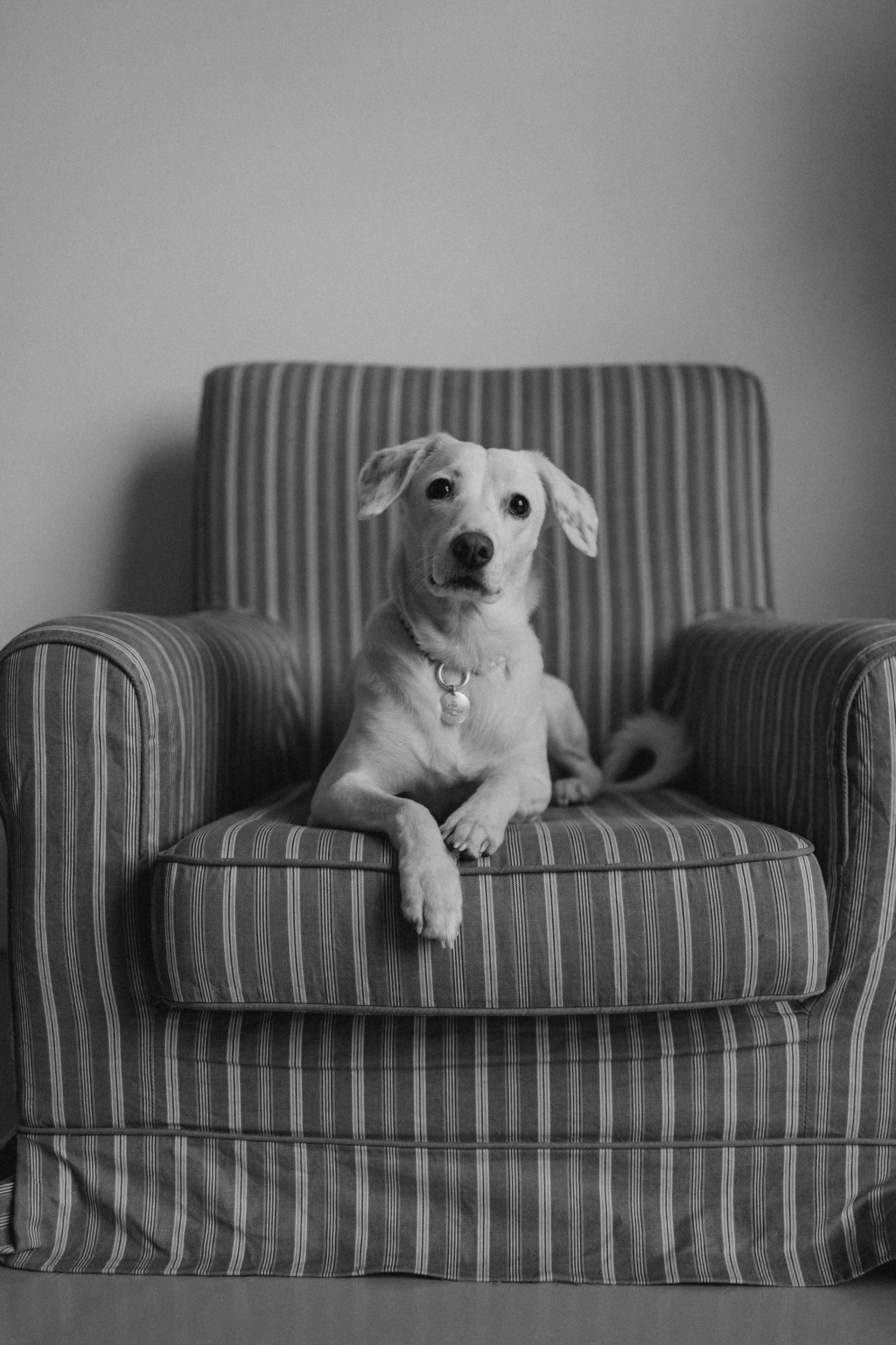 Луна и ее семья. Фотограф — Анималист | Санкт-Петербург