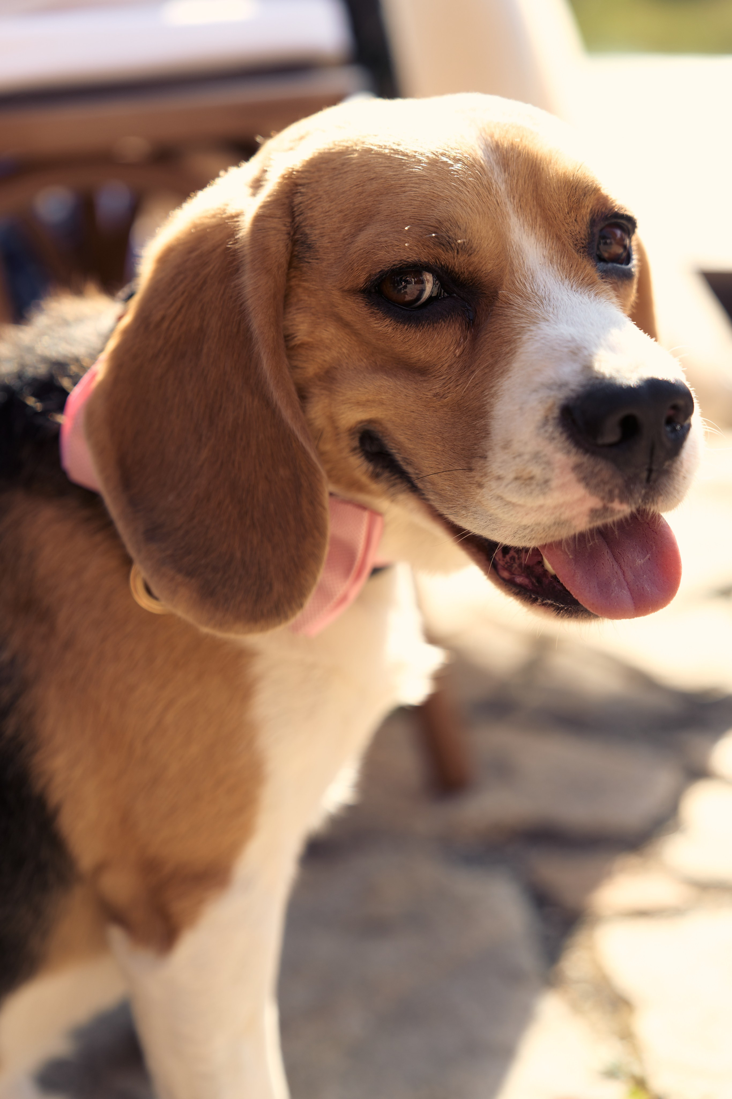 РЕmezzоВЫ. Фотограф Москва и Екатеринбург. Максимова Соня
