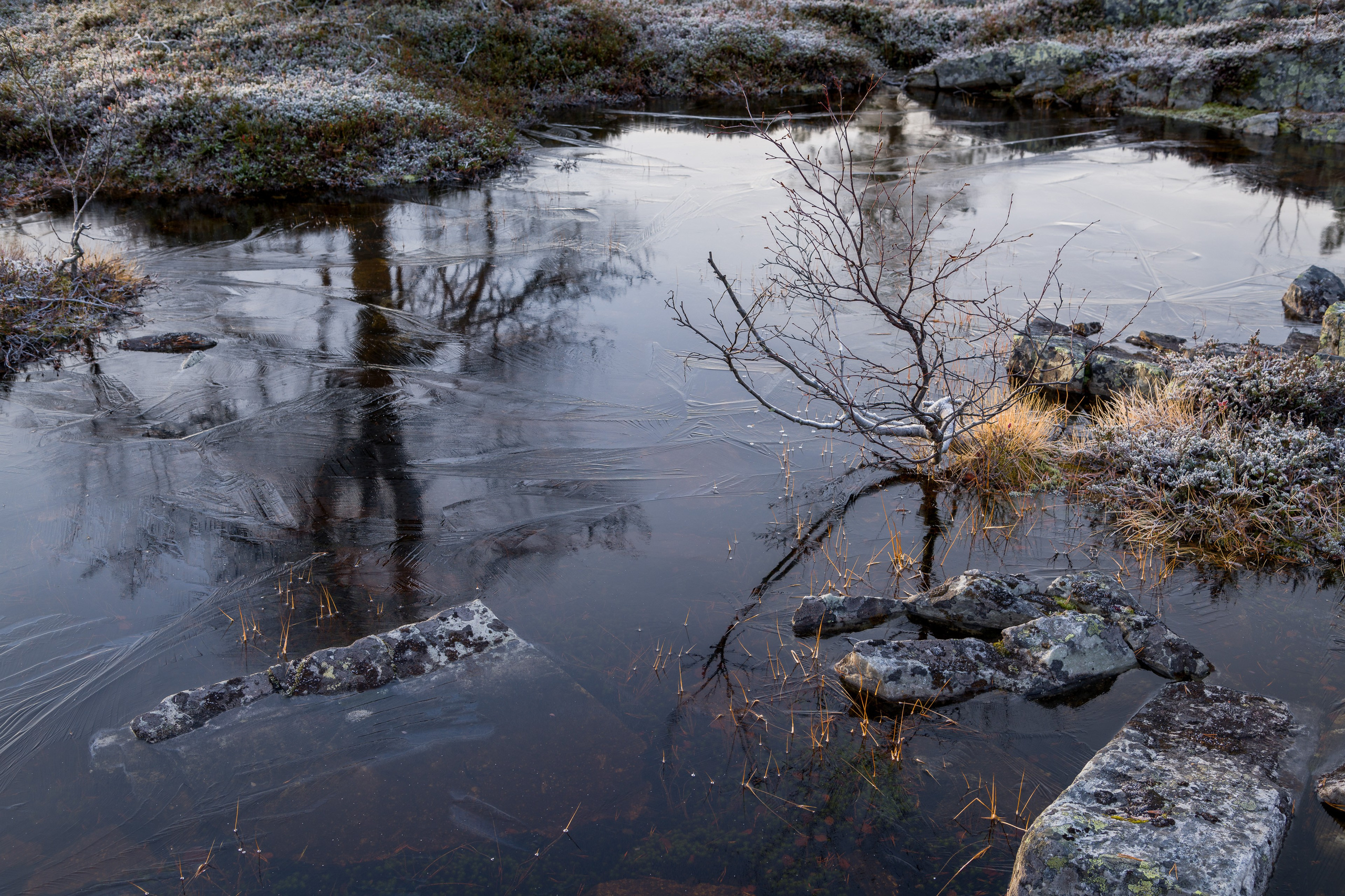 Осень. Северные Ночи