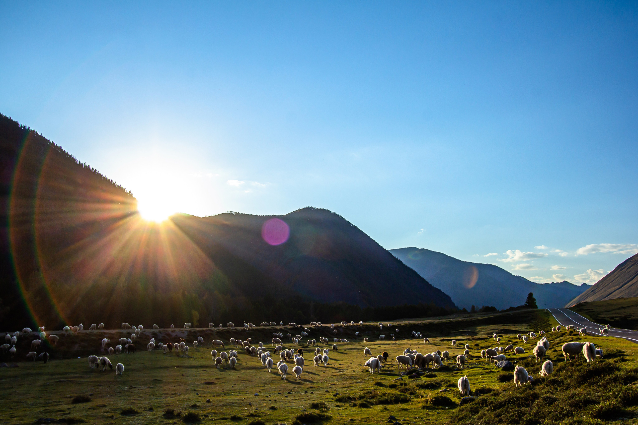 Тыва и Хакасия. Travel-фотограф Ирина Милинцова