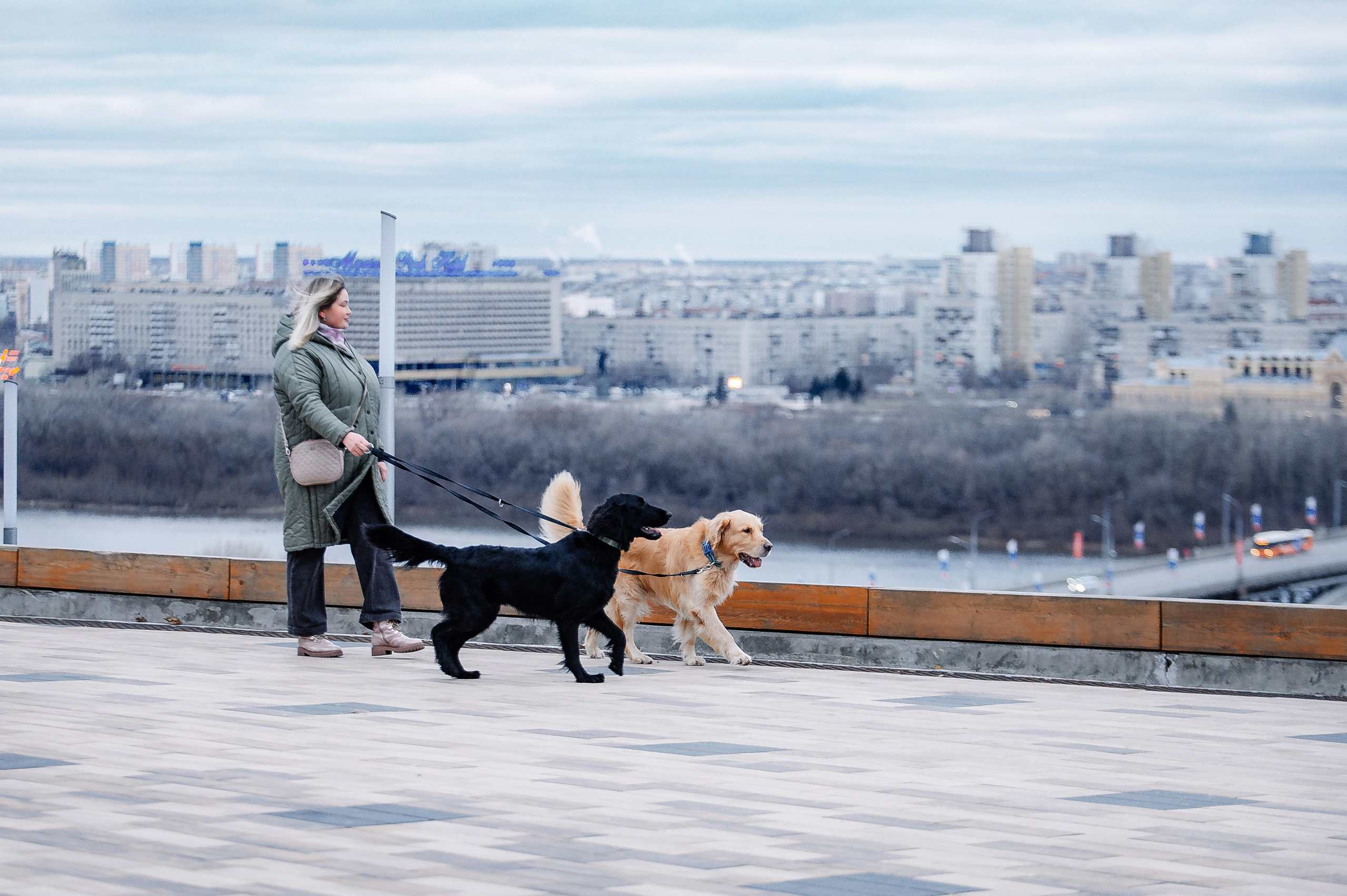 Юля, Стёпа и Мята. Фотограф-анималист Анастасия Парфенова|Екатеринбург