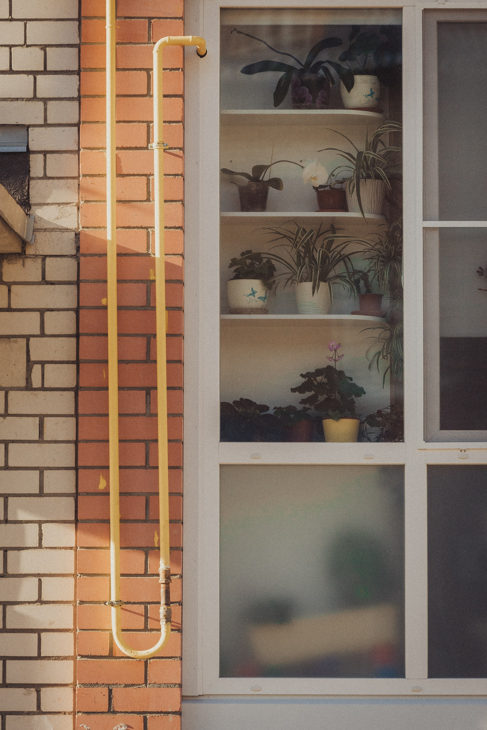 Проект #улицыгорода. Ярославль, ул. Карла Либкнехта. Документальный фотограф Илья Тихановский