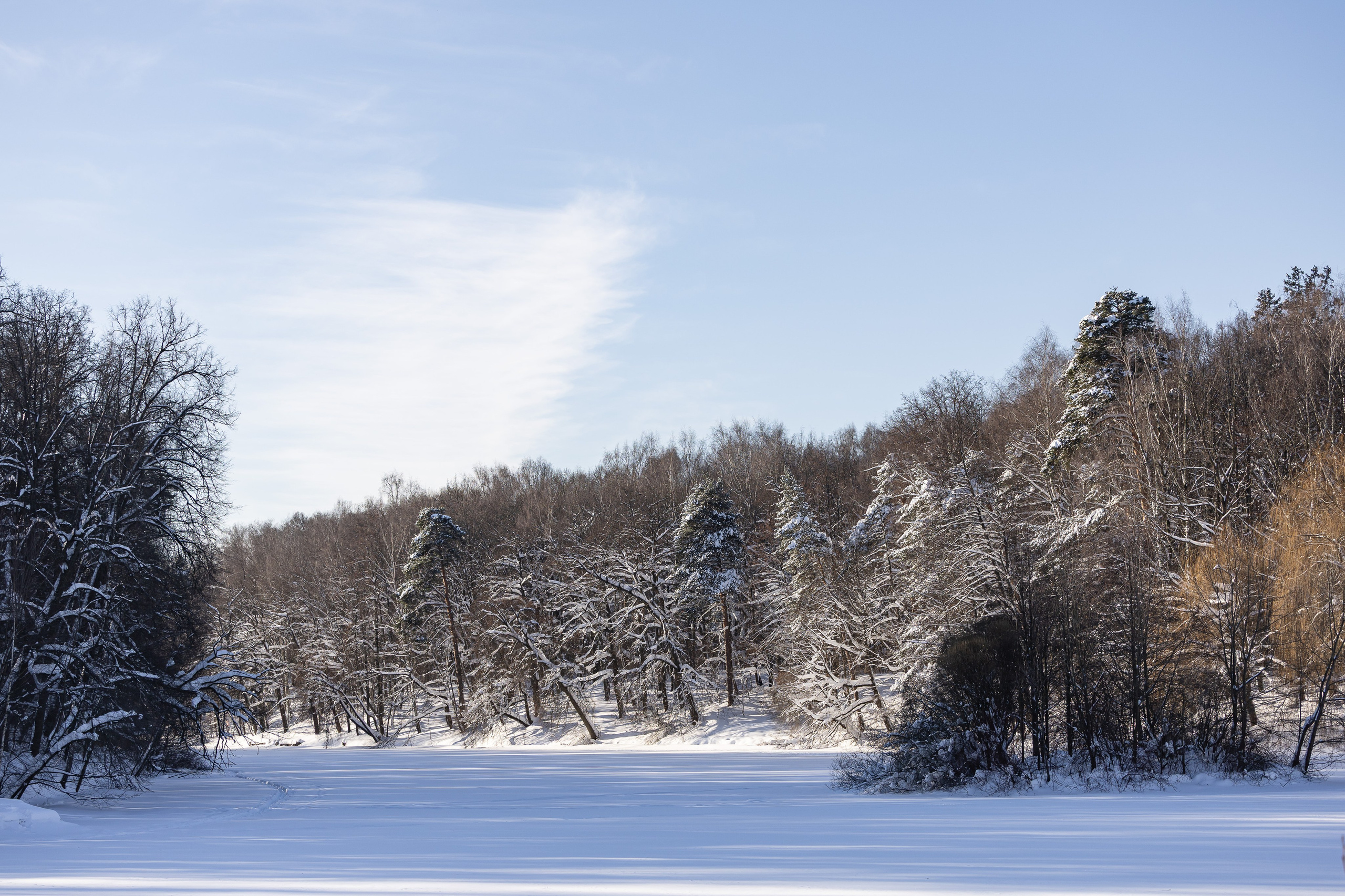 Природа. Фотограф Владимир Охрименко
