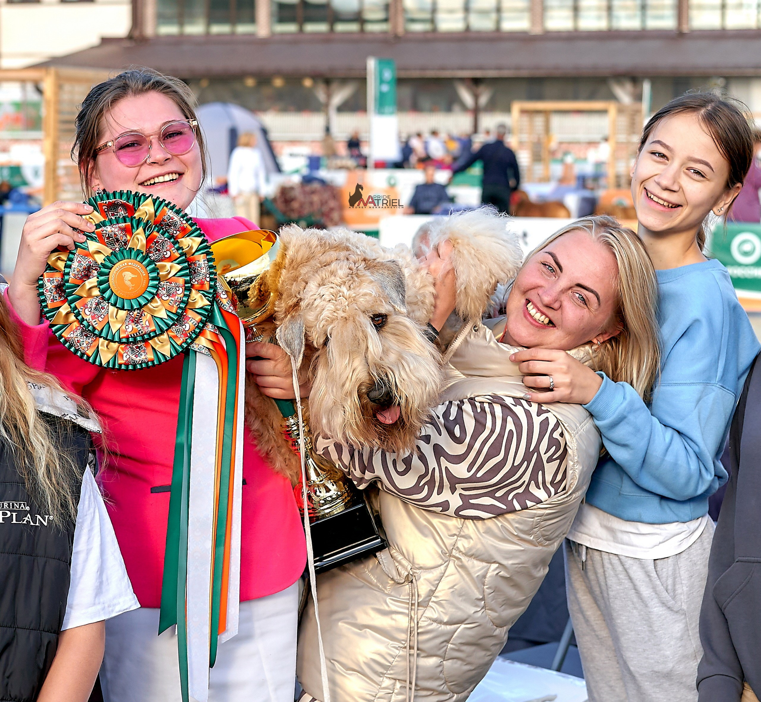 Призовые места — галерея NATRIEL