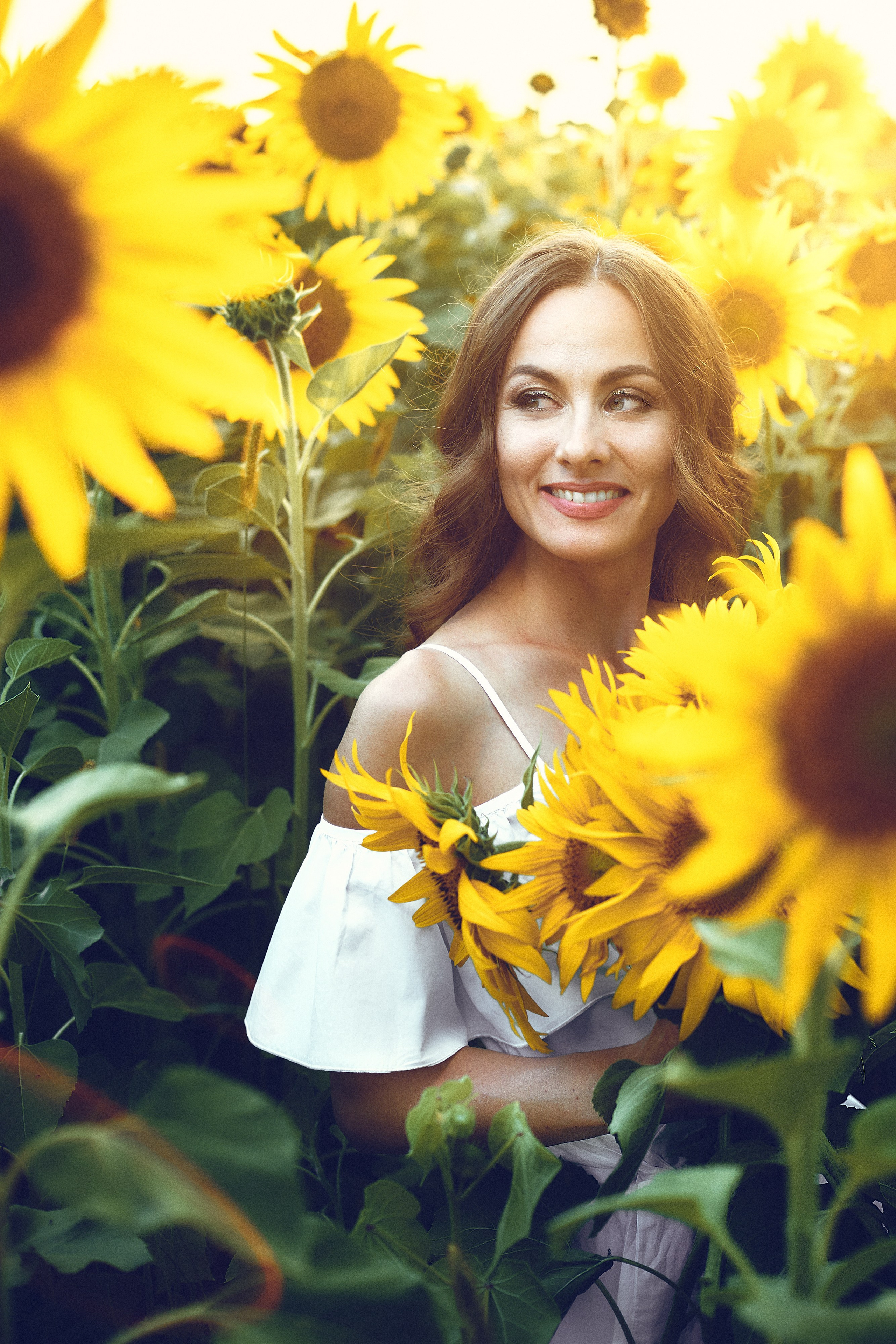 Ольга. Подсолнухи. Петр Ступень. Свадебное, семейное фото и видео. Москва. Краснодар