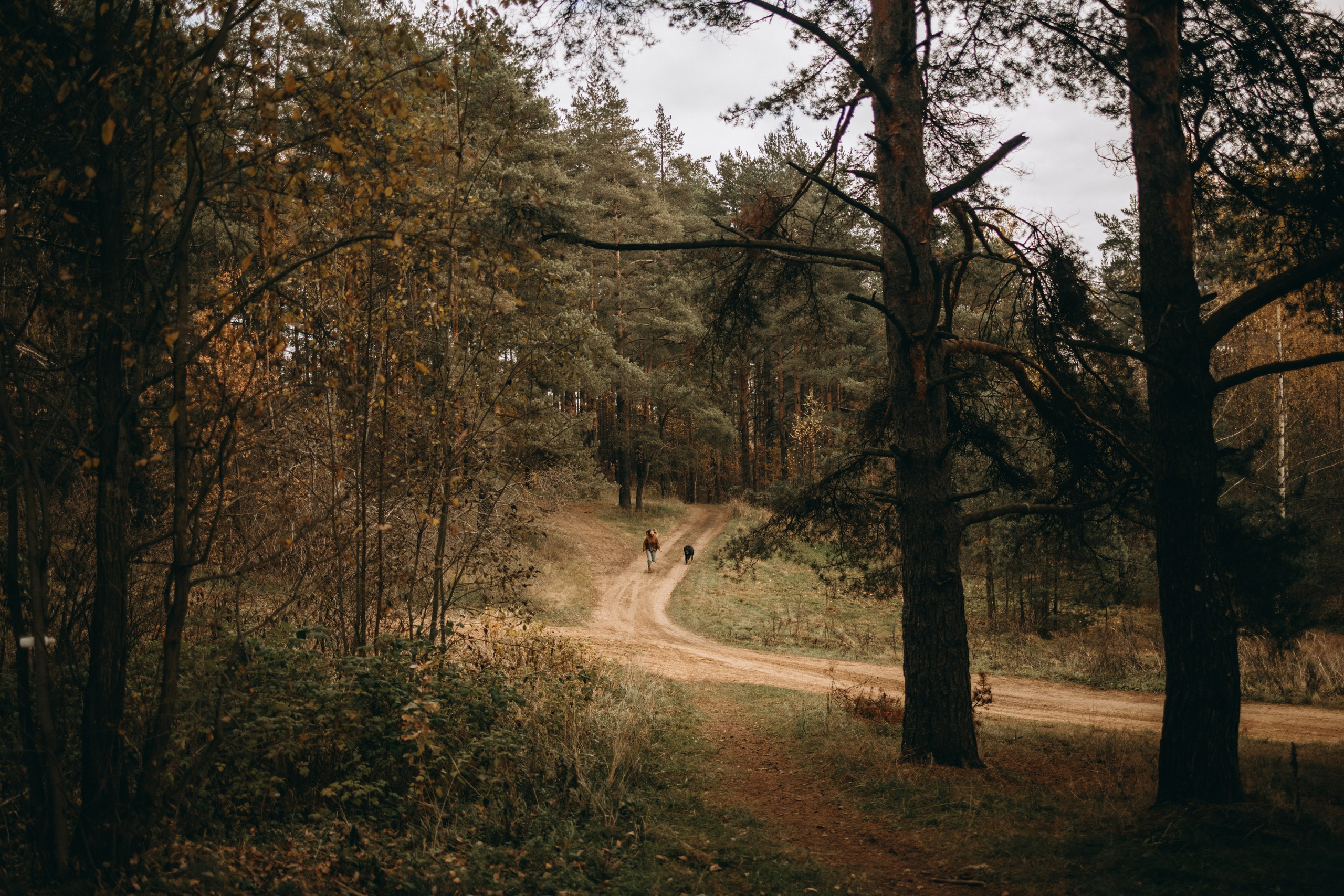 Лора и Джанго. Фотограф — Анималист | Санкт-Петербург