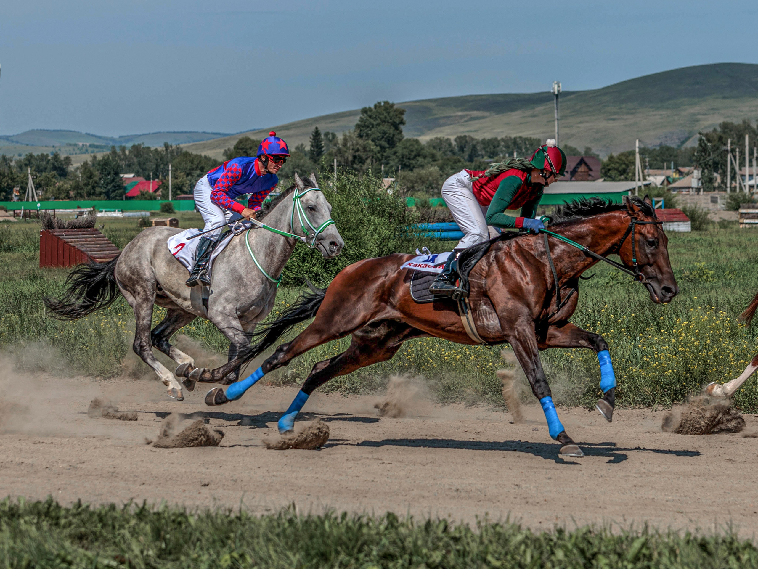 Зарисовки Абаканский ипподром 2025. Конный фотограф в Красноярске — Любовь Похабова