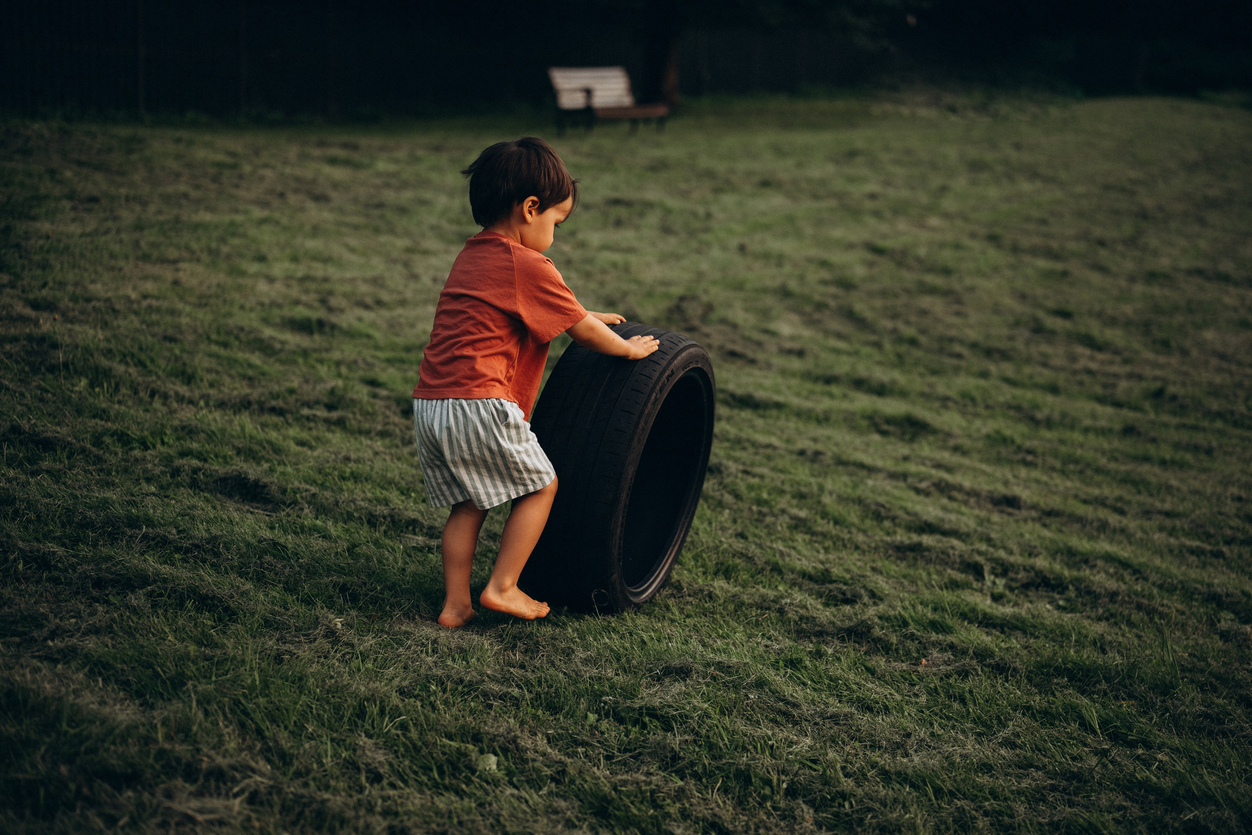 Игры на закате. Семейный фотограф в Москве Дарья Пузикова