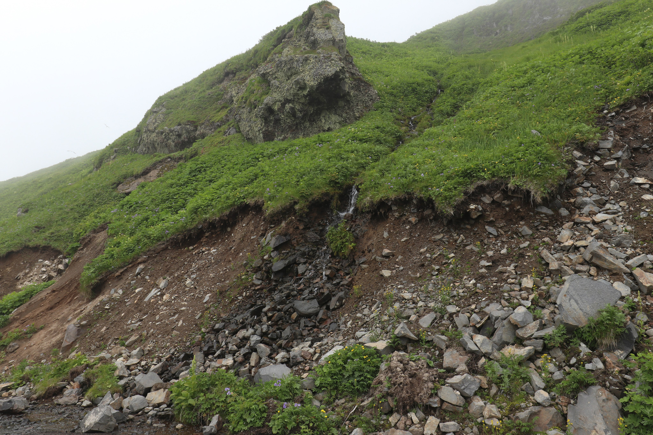 Камчатка и о. Парамушир. Июль 2024. Путешественник-фотограф из Санкт-Петербурга Татьяна Свистулина