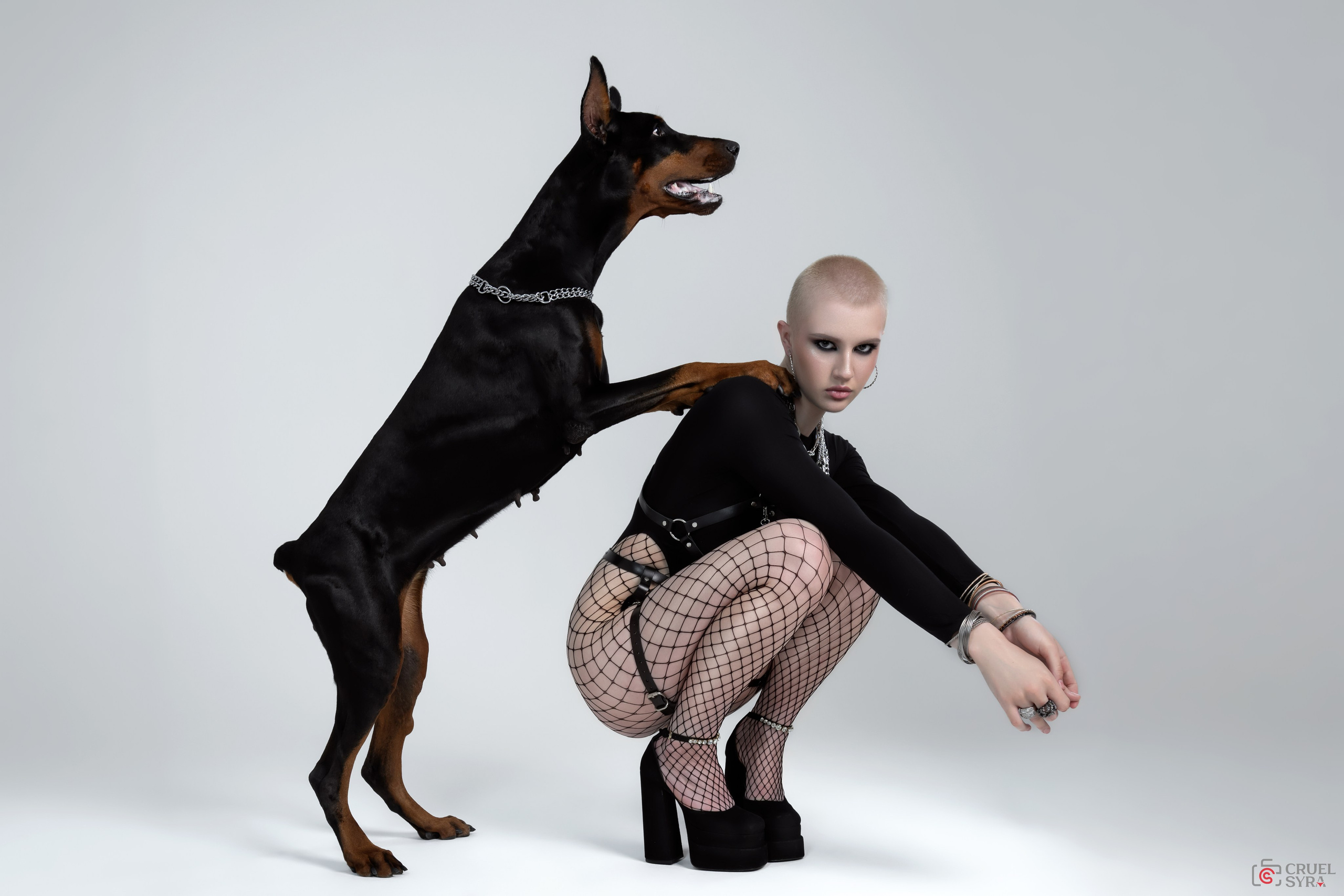 Doggies. Cruelsyra —фотограф в Хабаровске. Портретная и фэшн съемка