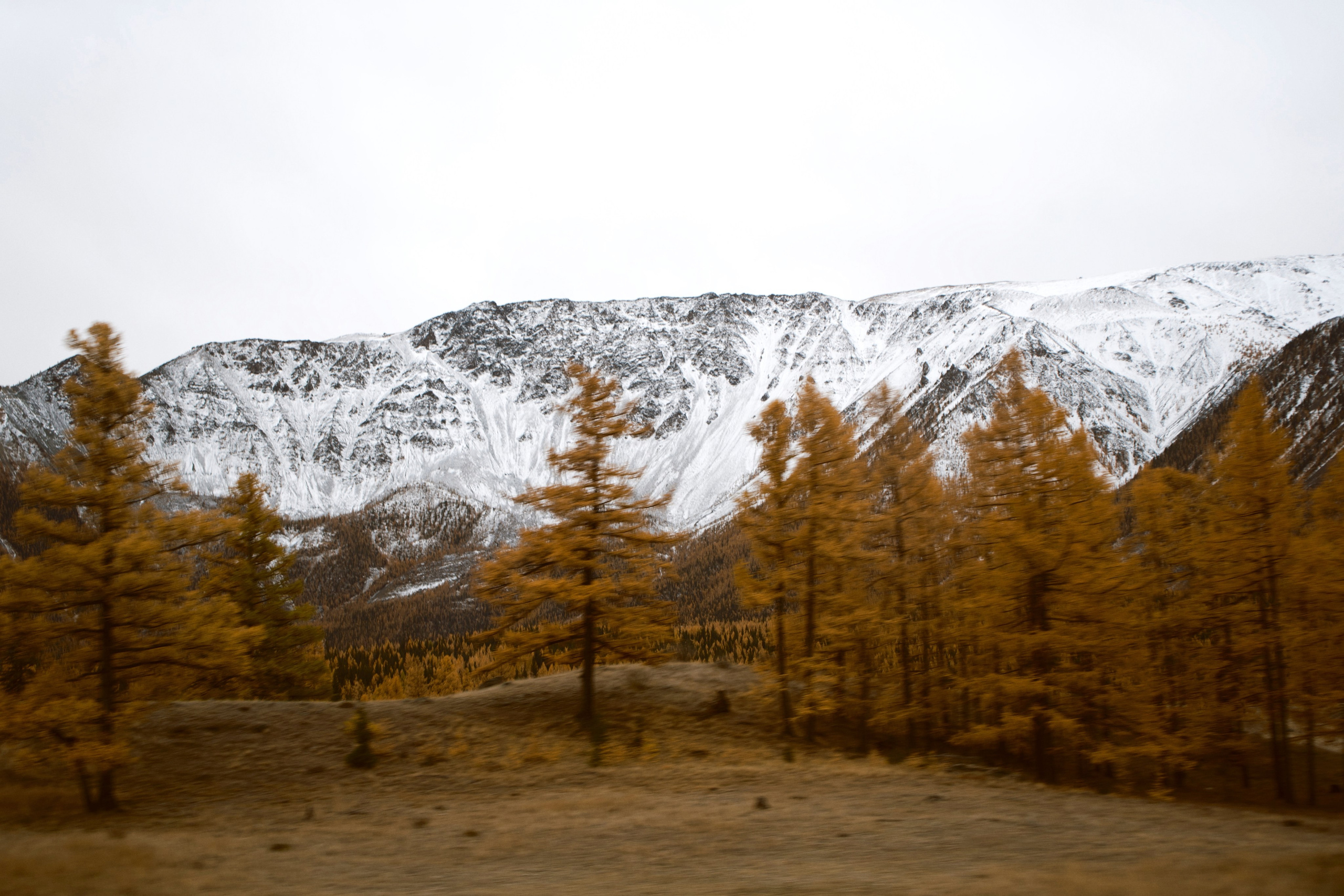 Фотограф | Рилсмейкер