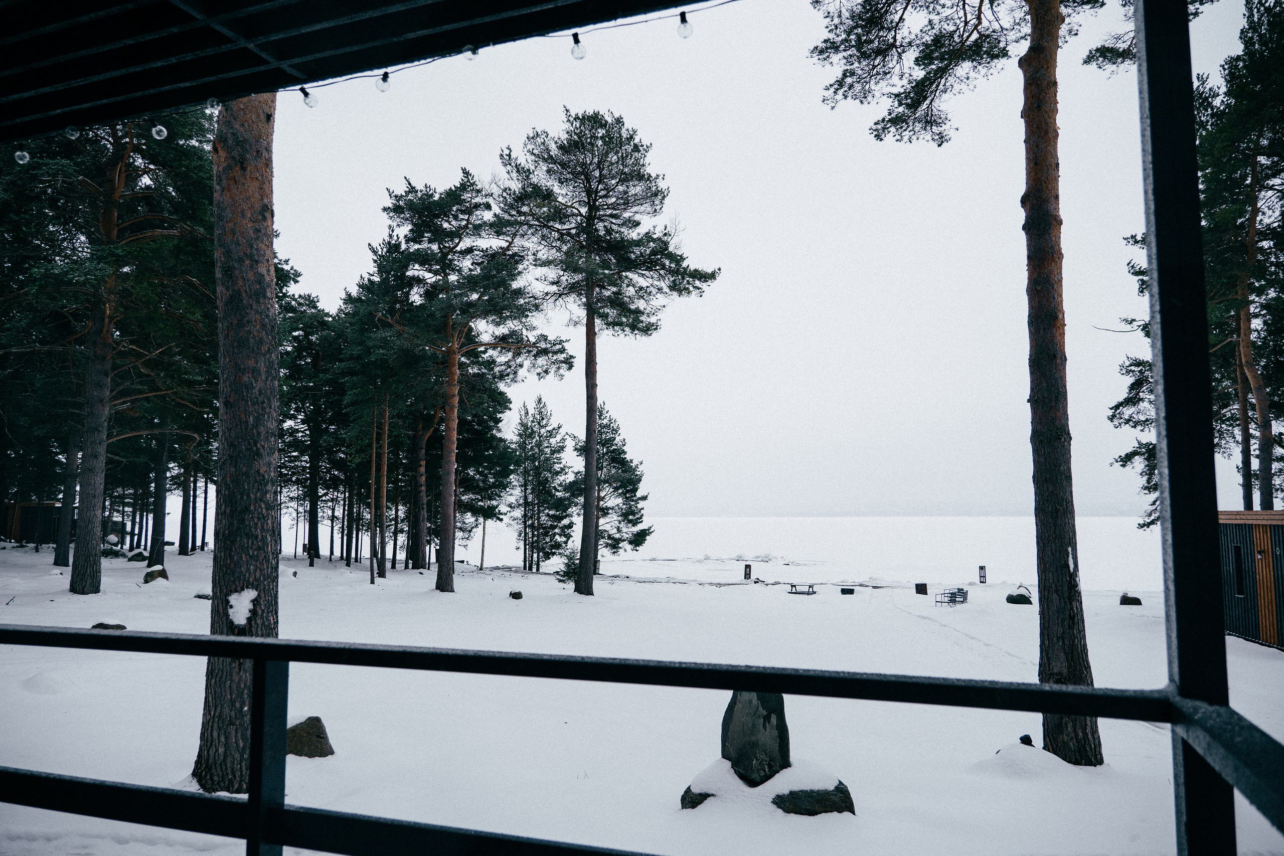 TALEO. Создание контента | Фото | Видеосъемка | Александр Ярков