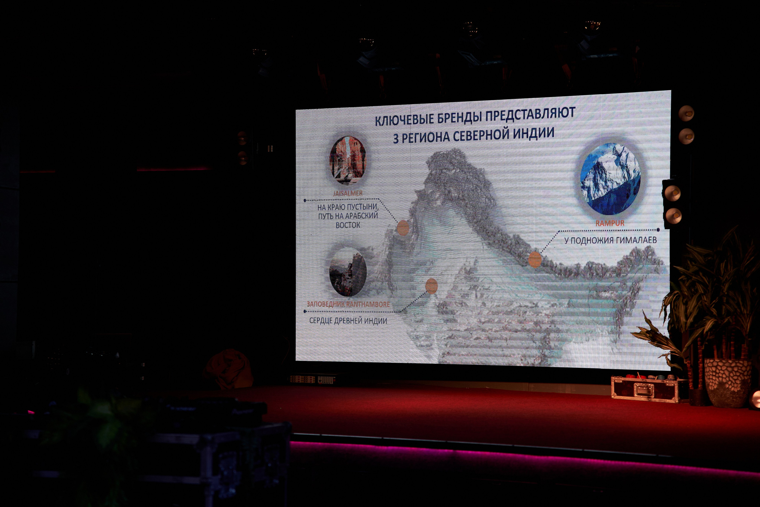 REELS. Свадебный фотограф Евгений Олейников в Воронеже