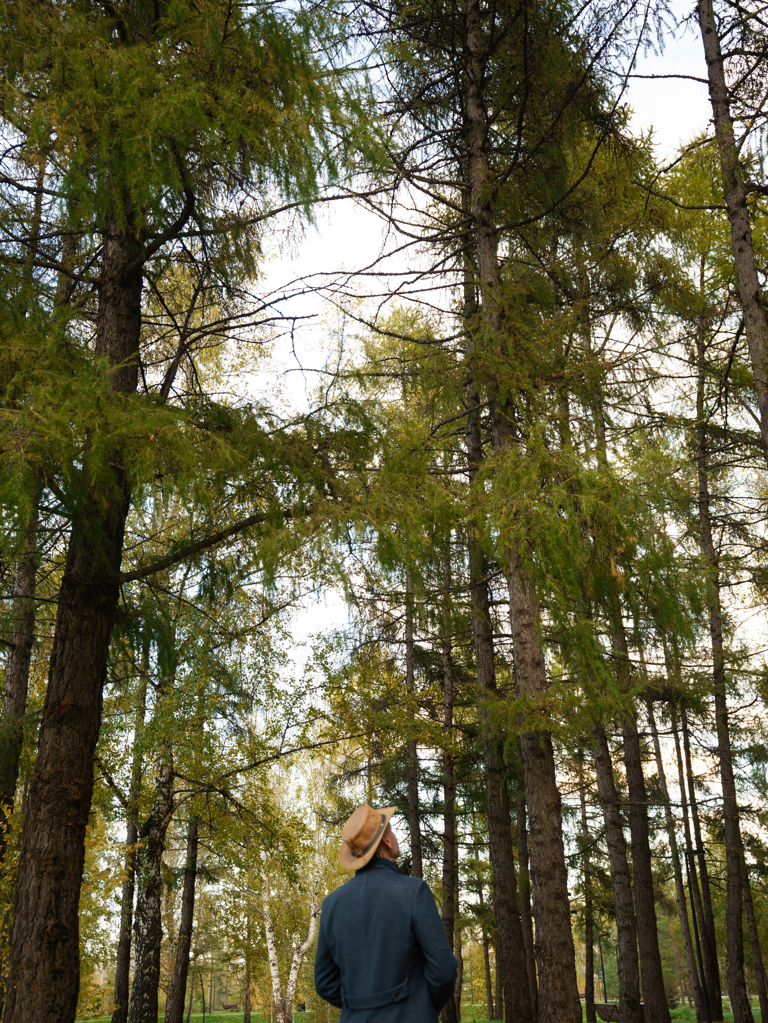 Георгий. Фотограф НСК-Кем-СПБ Александра Фомич