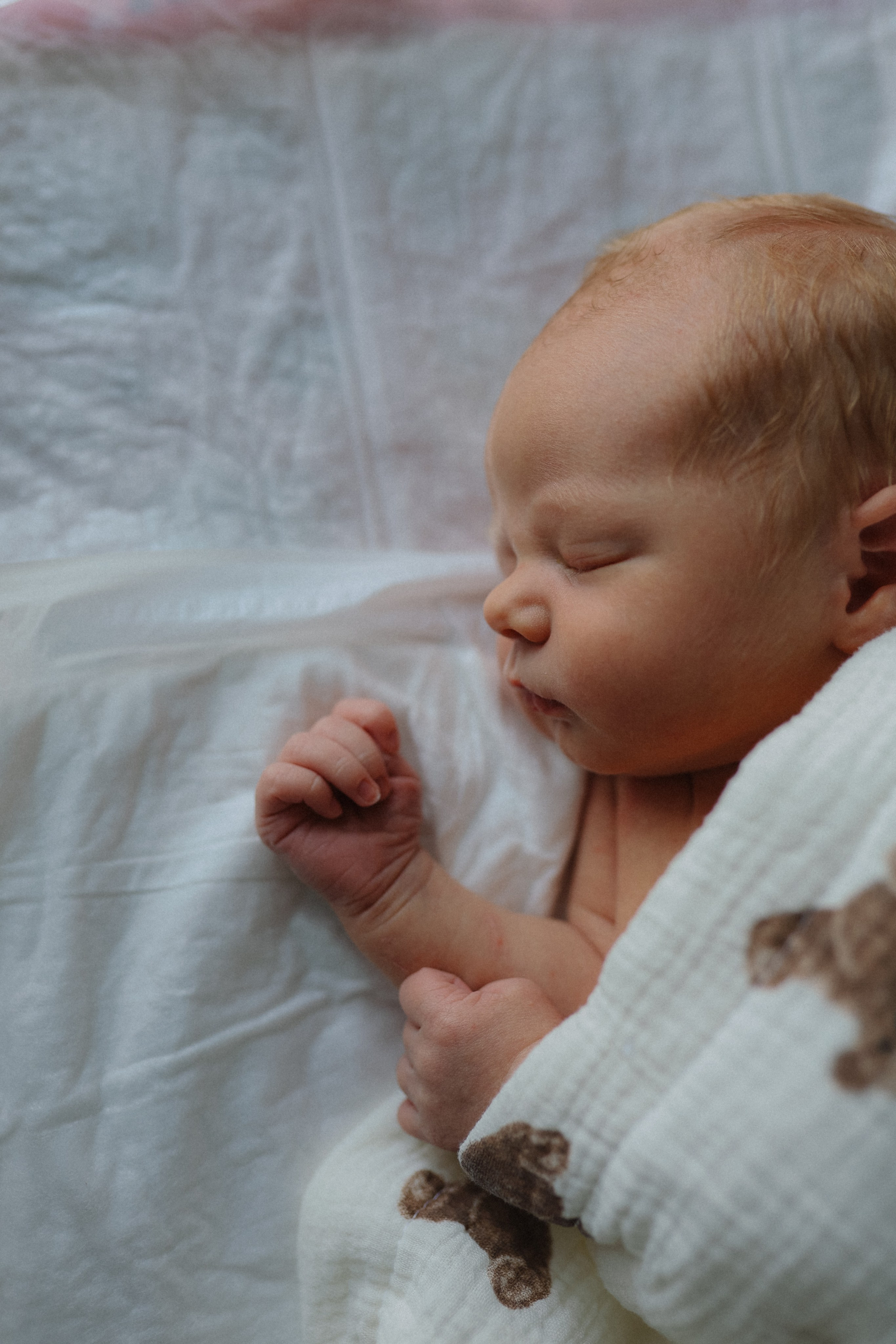 Выписка Арсения❤️. Фотограф на роды в Санкт-Петербурге, семейный, нью-борн Алиса Хрекова