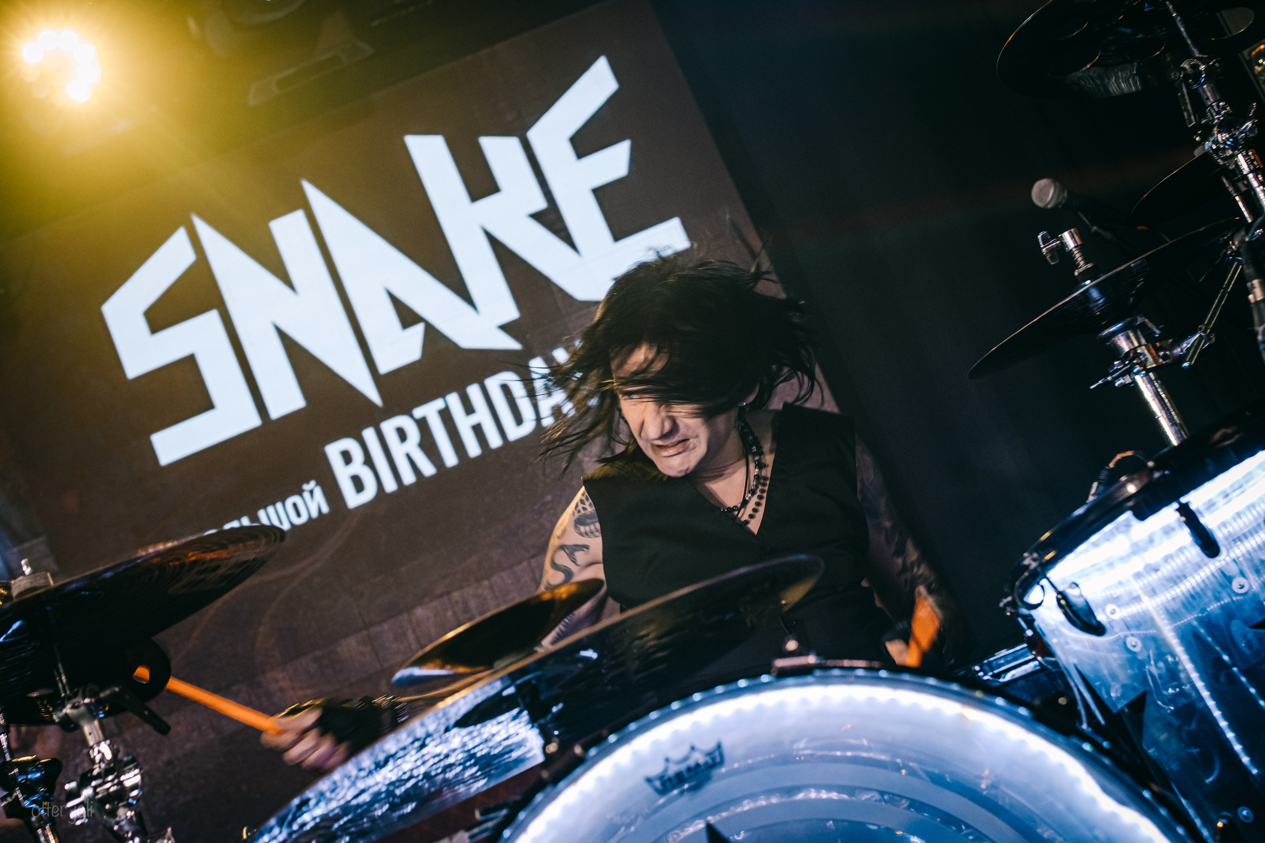 МЭD DОГ | Snake 56. Концертный репортёр Валерия Сафина