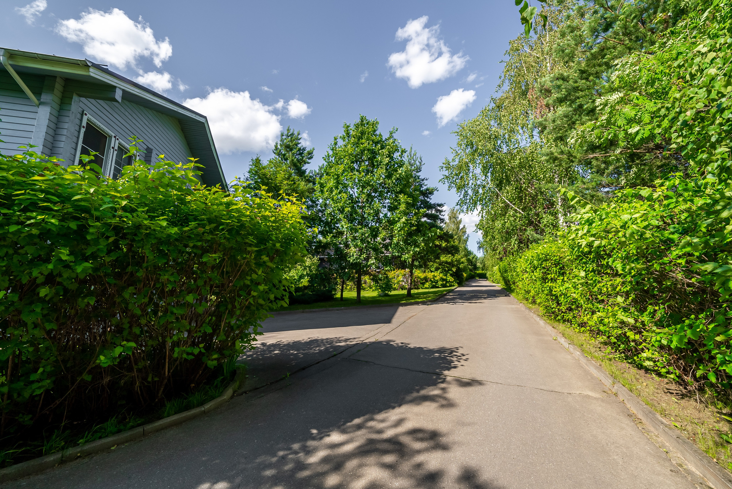 СНОВИДОВО. Фото и видео-съемка Андраник Хачатурян