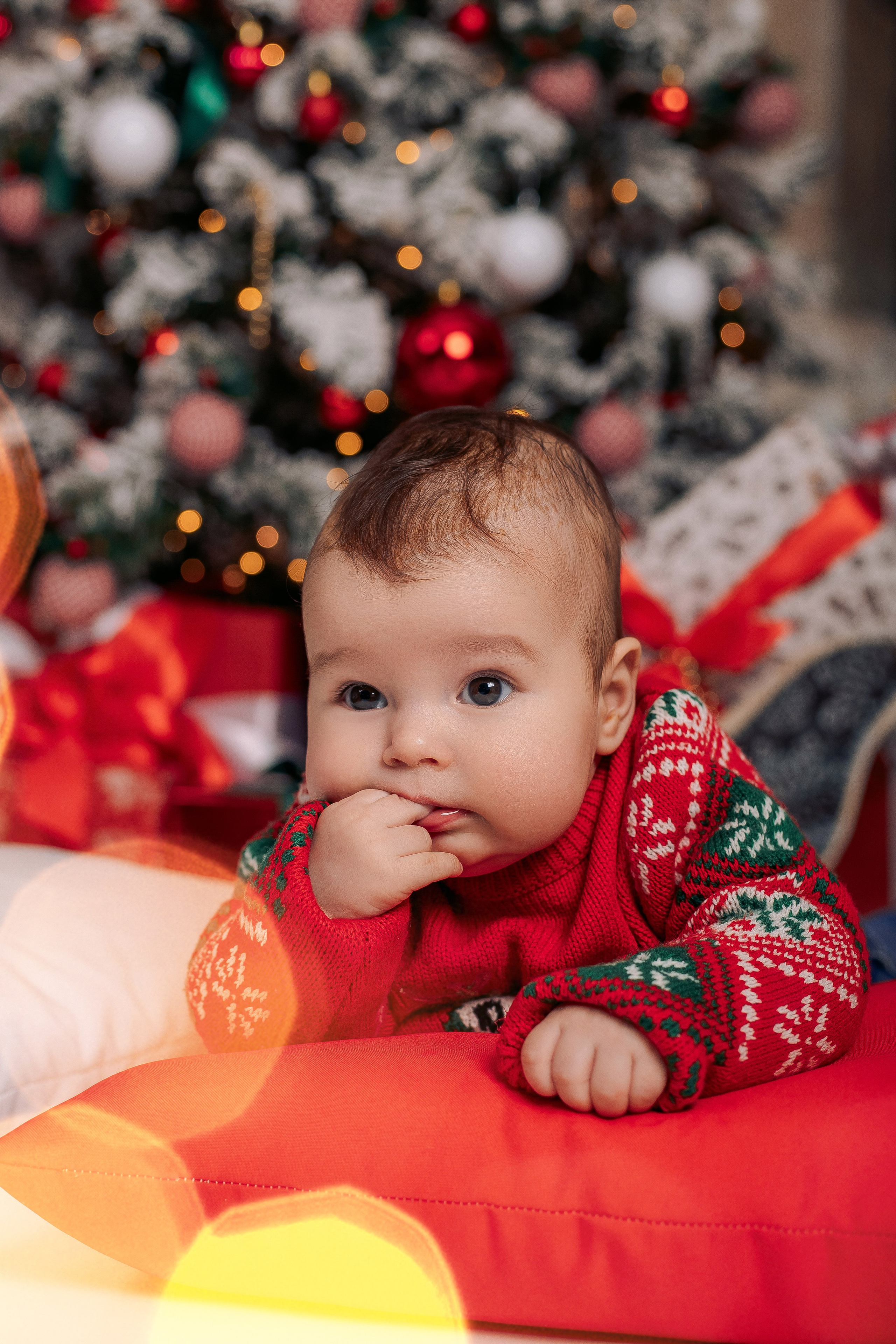 Новогодняя фотосессия фотодень спб с кроликами. Фотограф в Санкт-Петербурге, Анна Скворцова