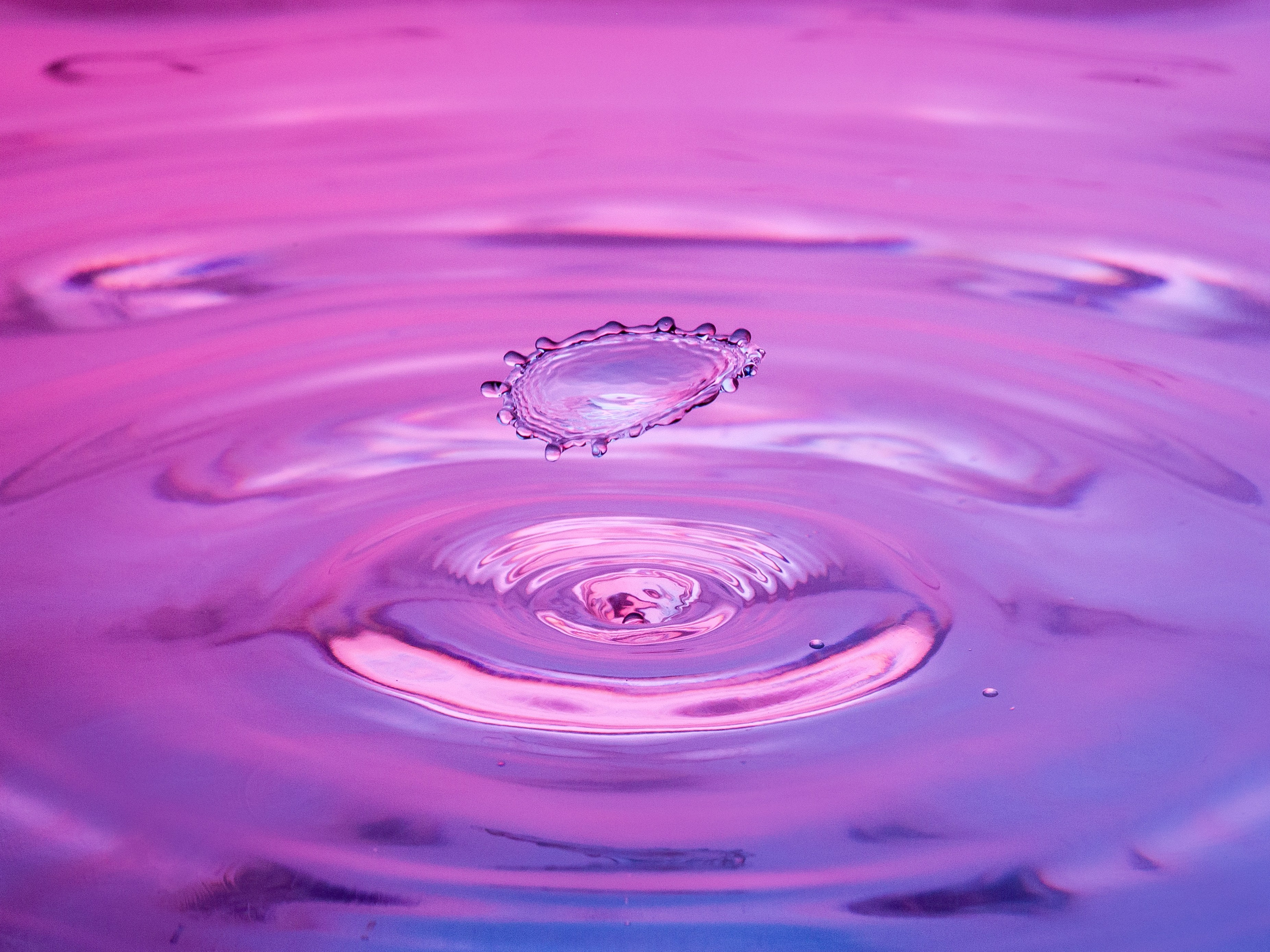 Капли. Фотограф Мария Кольцова