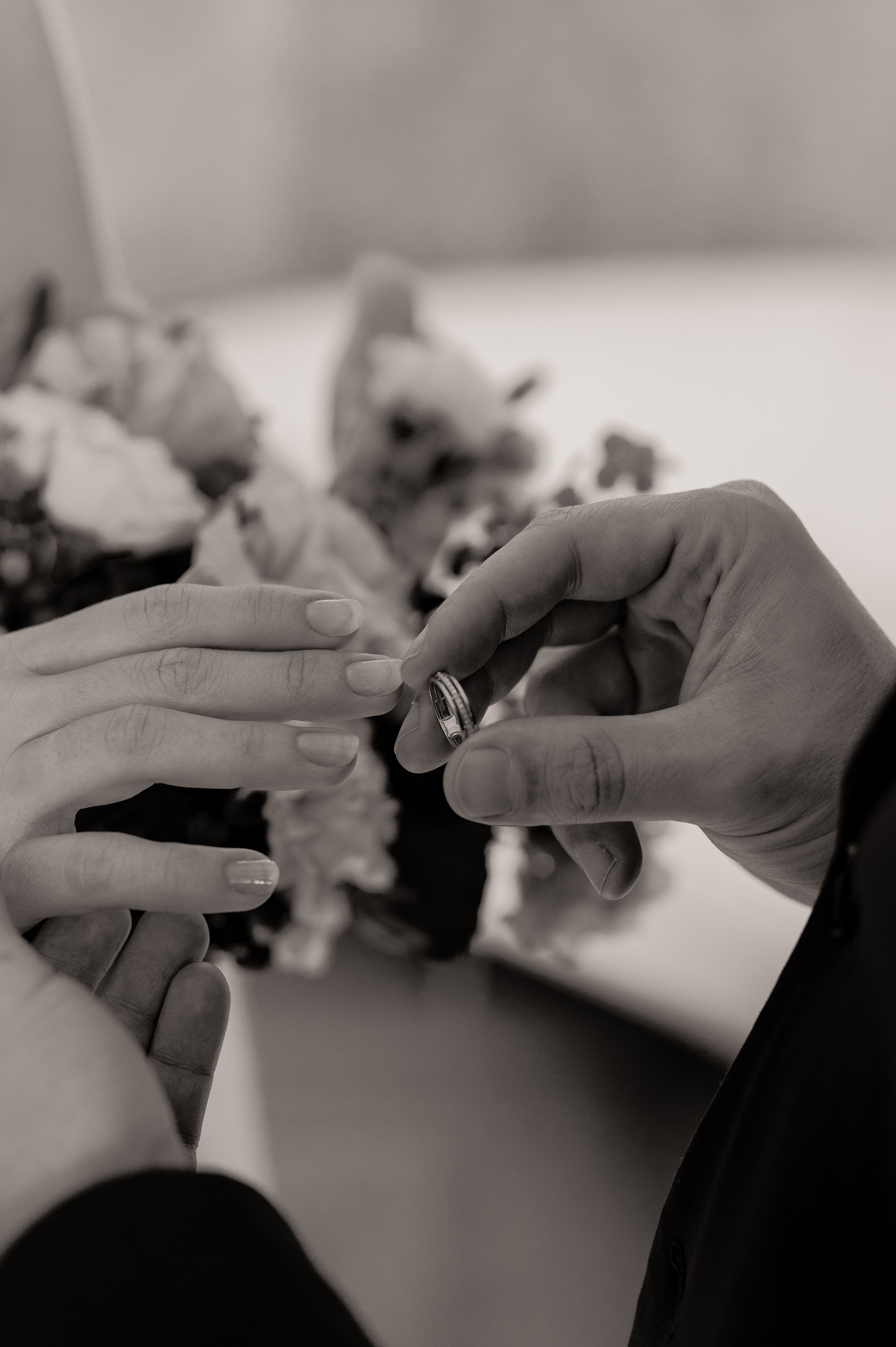 Андрей и Олеся. Свадебный и семейный фотограф в Краснодаре Алина Мельник