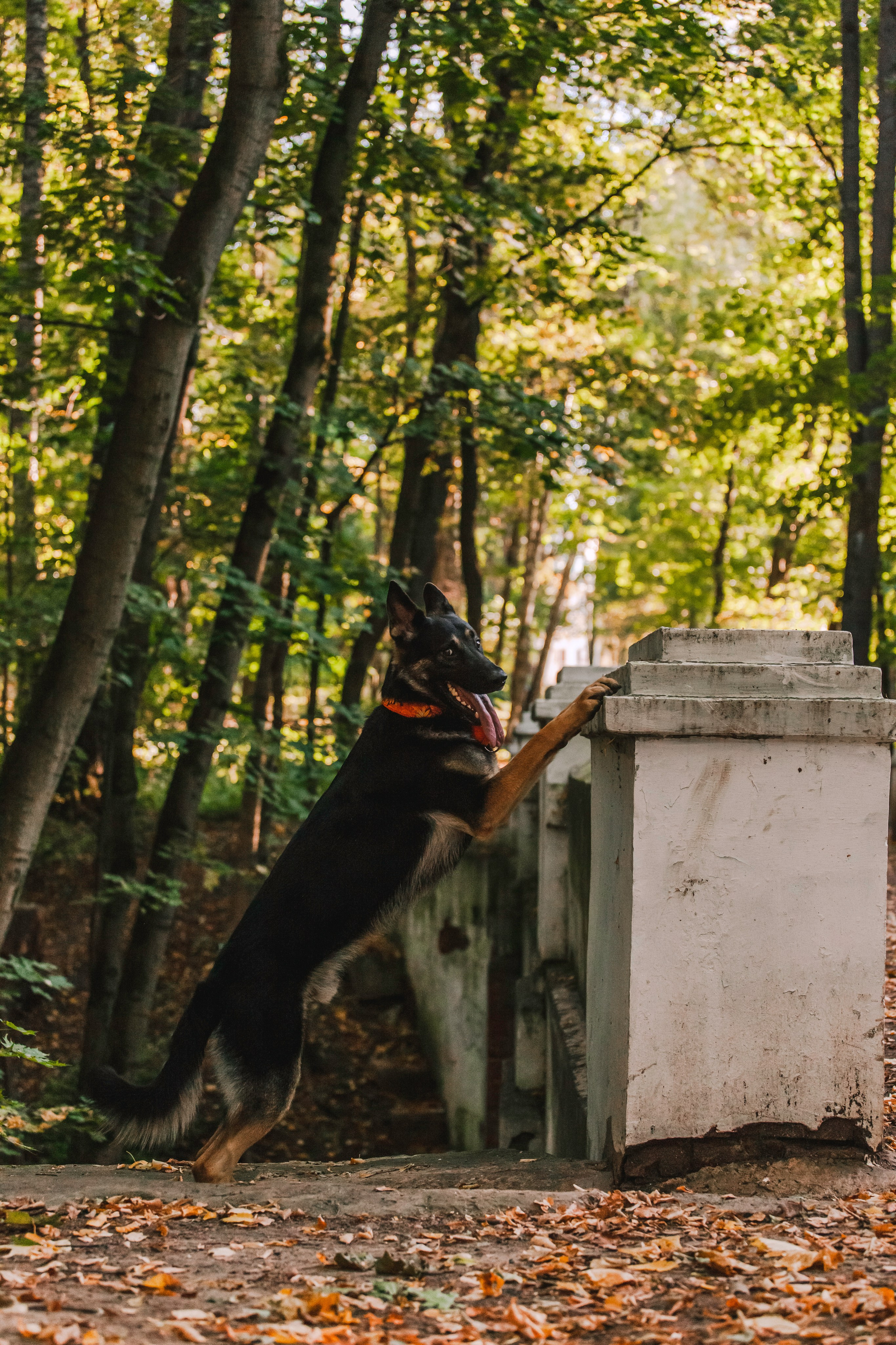 Илай. Фотограф-анималист Татьяна Степанова