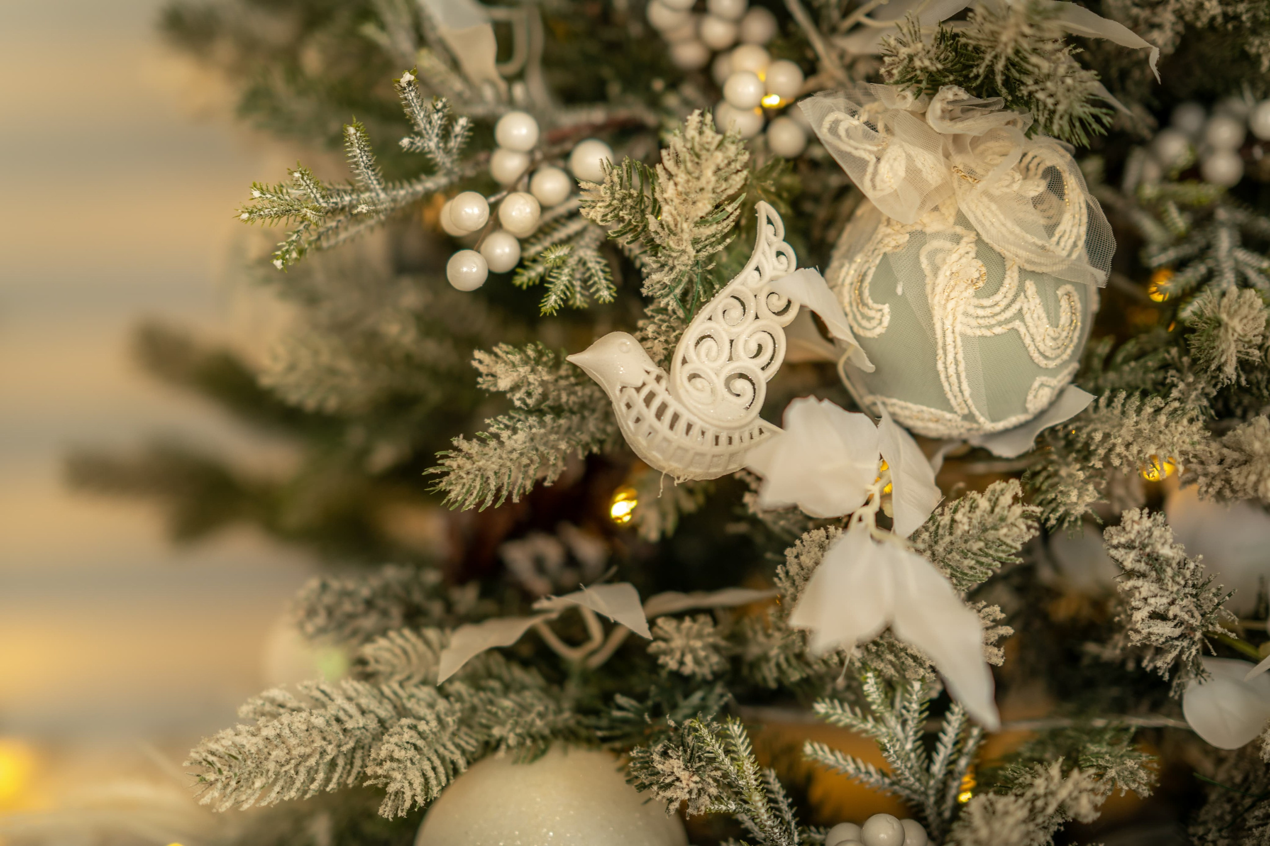 Студия К2. Фотограф г. Хабаровск. Семейные и индивидуальные съёмки