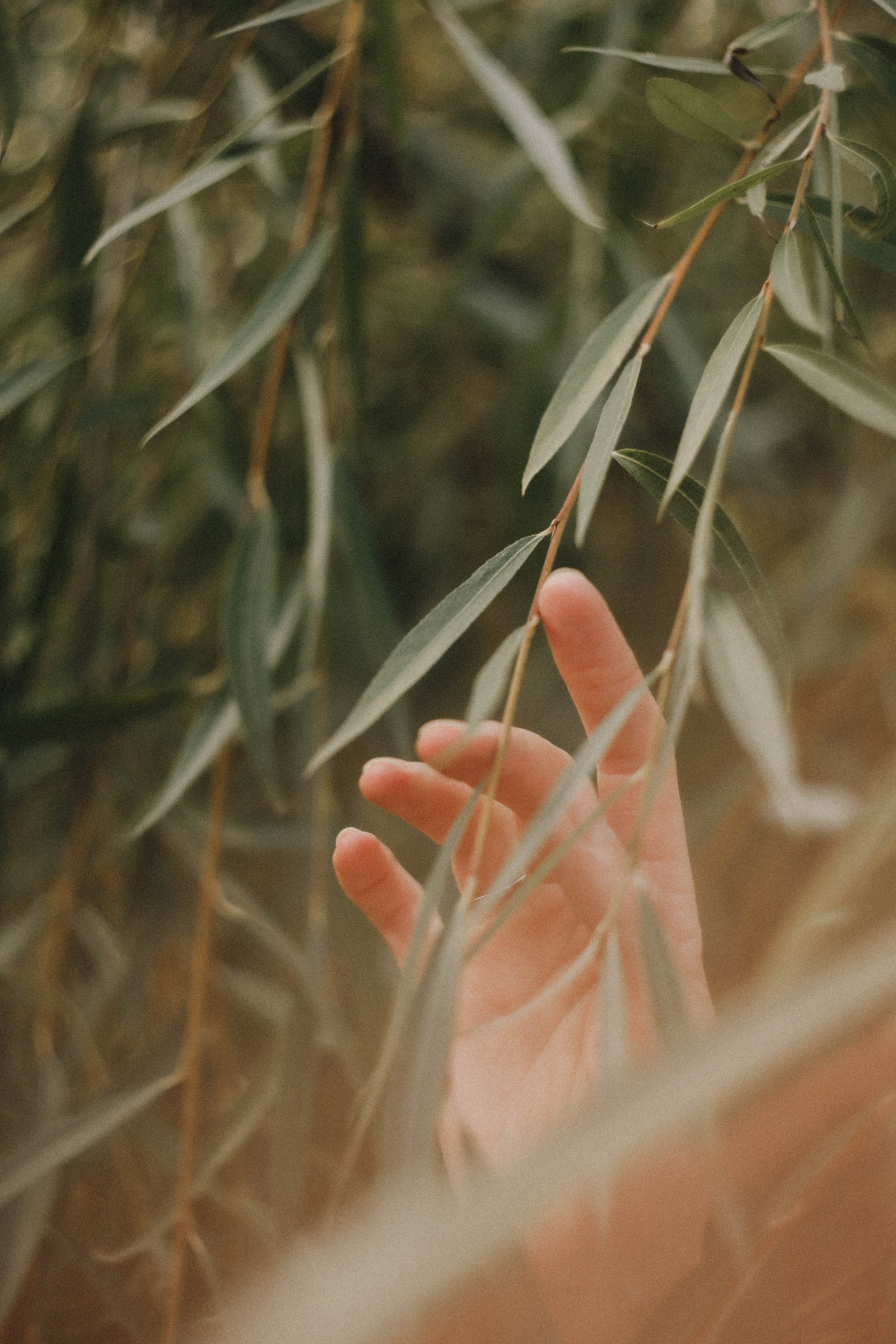 Анна на Щелчке. Осень. Фотограф в Нижнем Новгороде