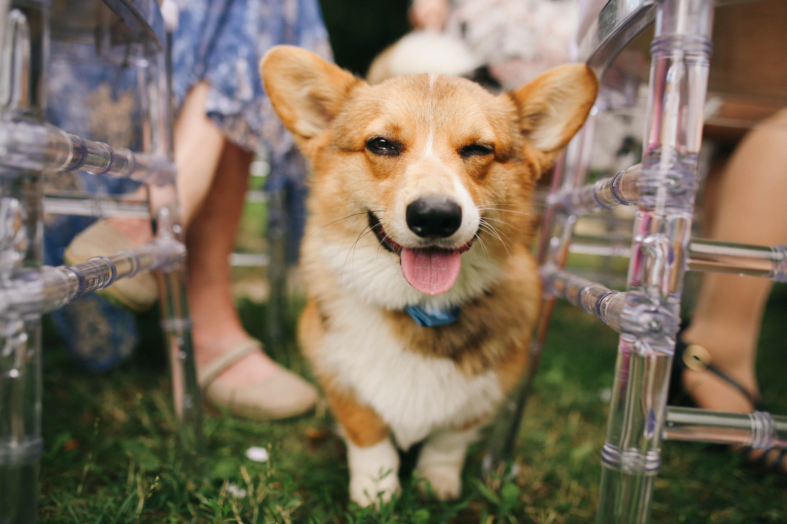 Фотогалерея мини-отеля «Таежный». Организация свадеб под ключ в Раменском
