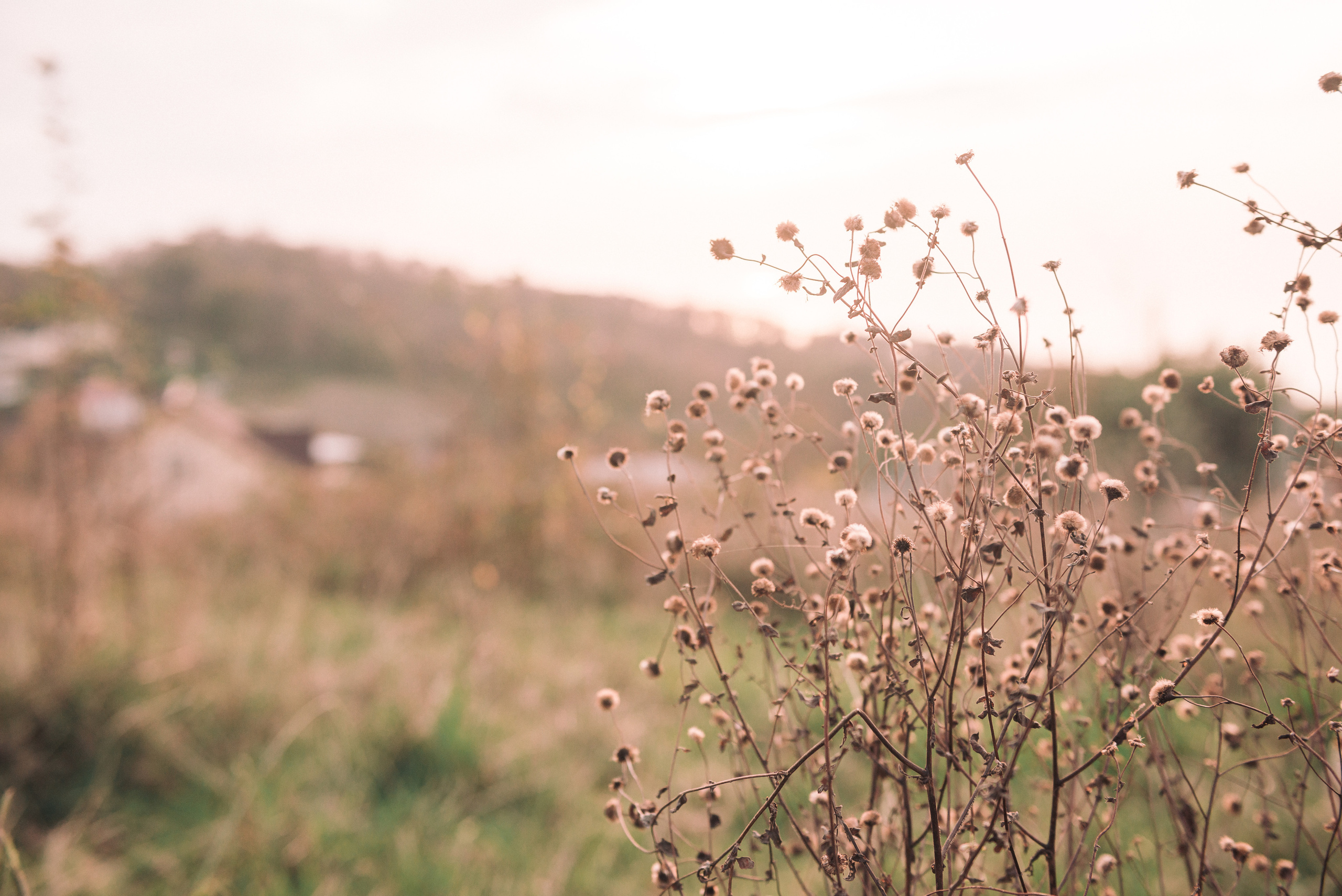 Аня. Фотосессия на холмах. Портретный и репортажный фотограф в Сочи Рамодина Юлия
