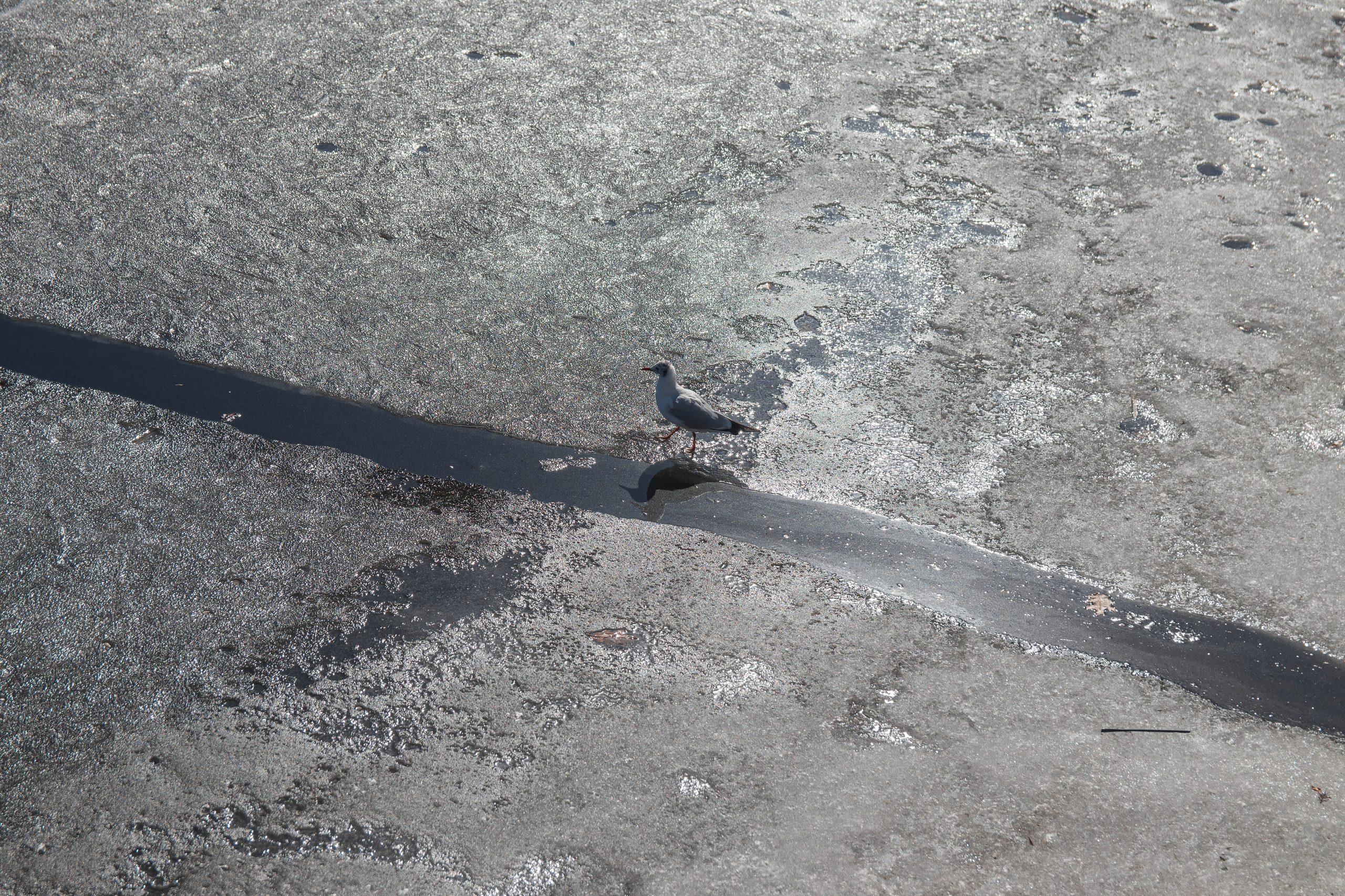 Моменты. Главная