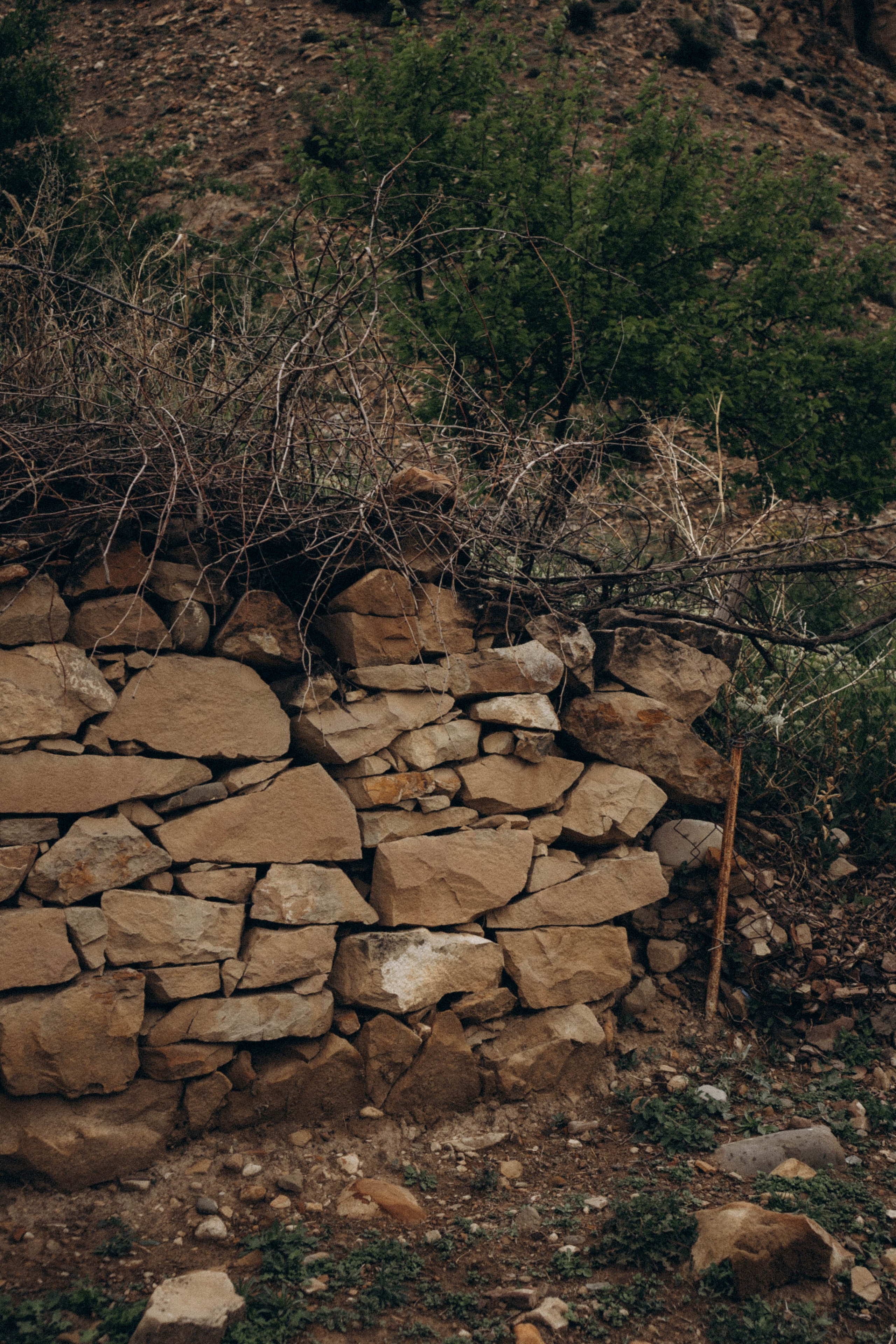 Кавказ. Профессиональный фотограф, Санкт-Петербург — Виктория Богомолова