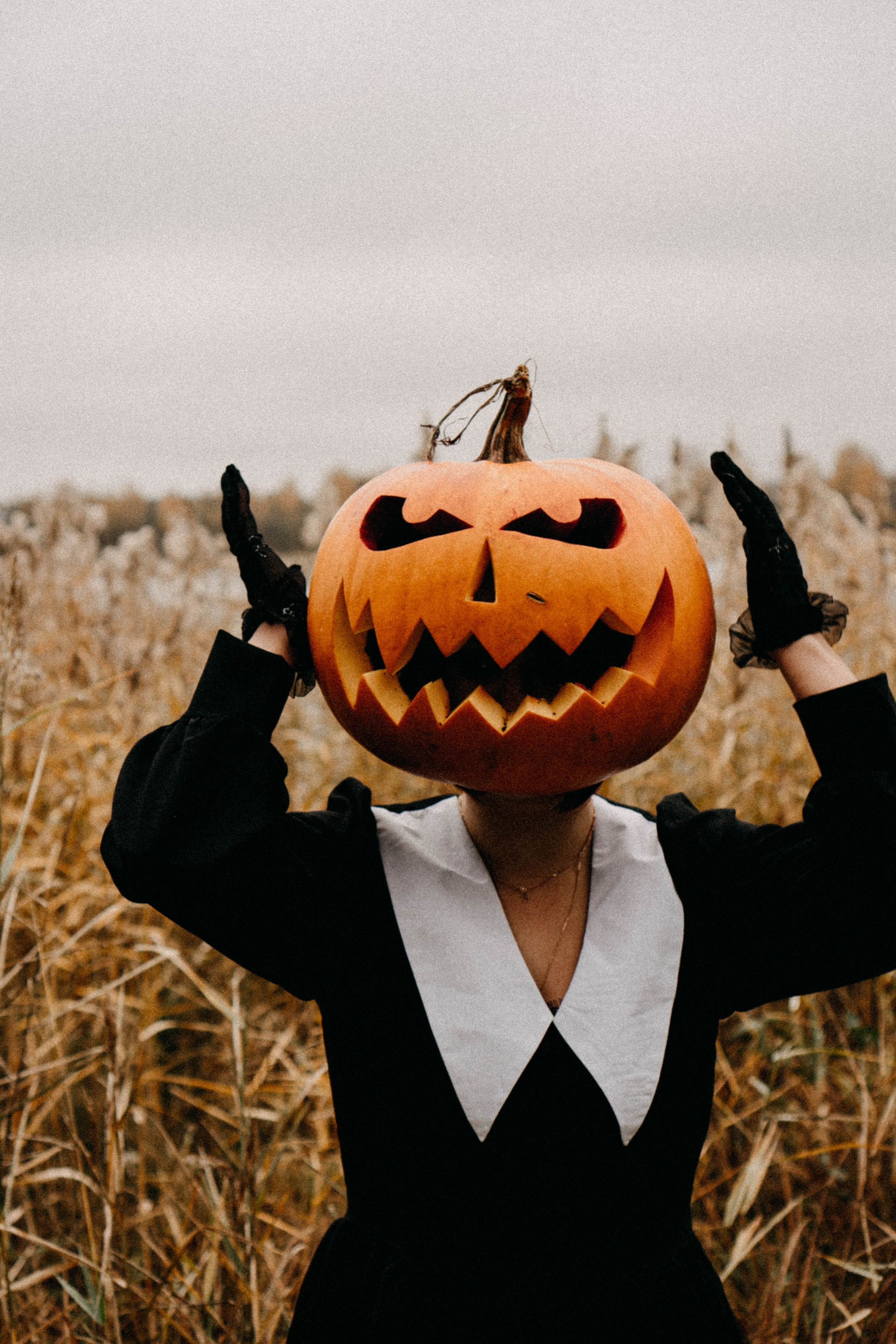 Осеняя. Профессиональный фотограф, Санкт-Петербург — Виктория Богомолова