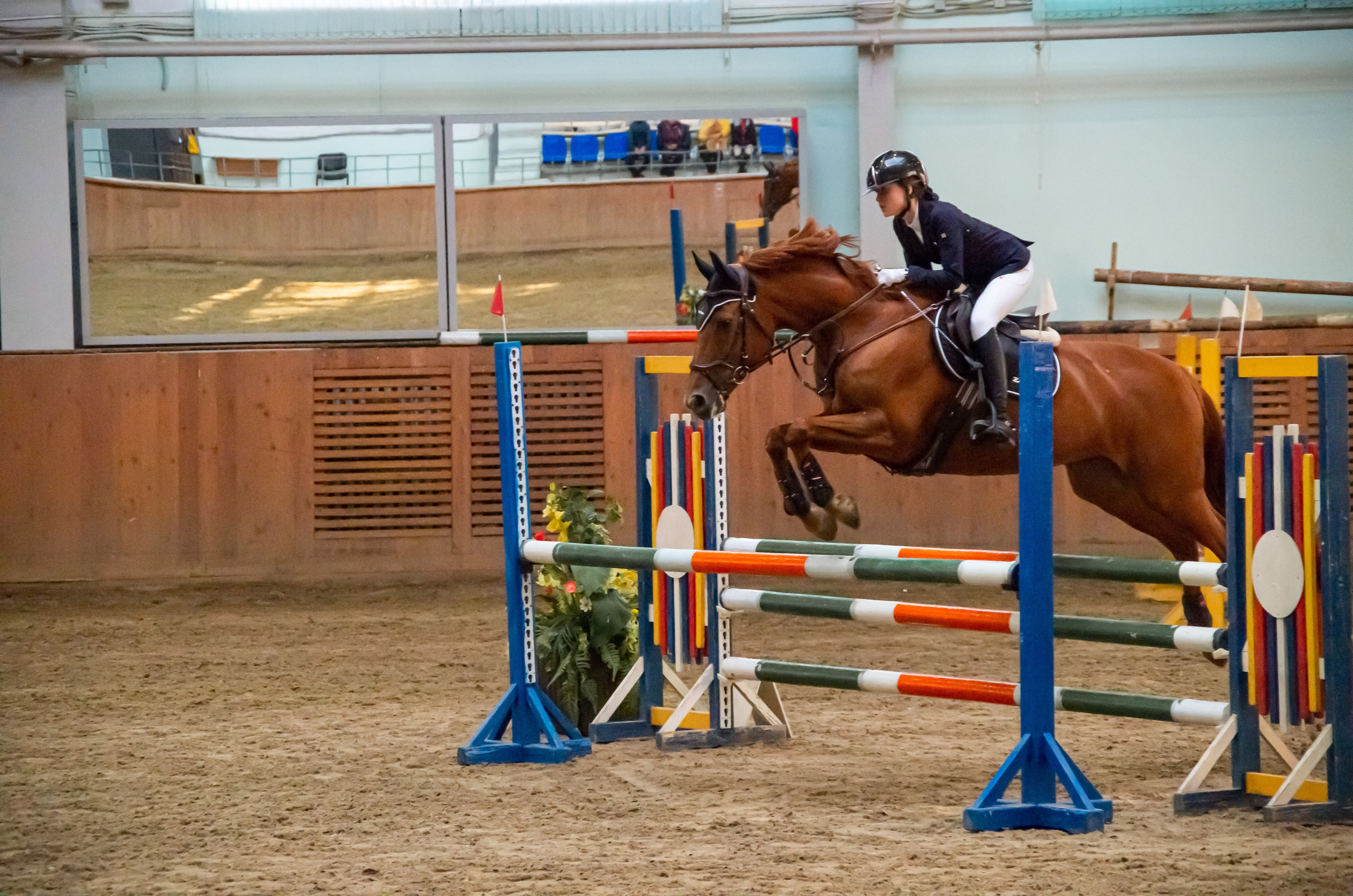 ДЕТИ & ЛОШАДИ. Фотограф Марина Доглядная Челябинск фотосессии с лошадьми, мотоциклами