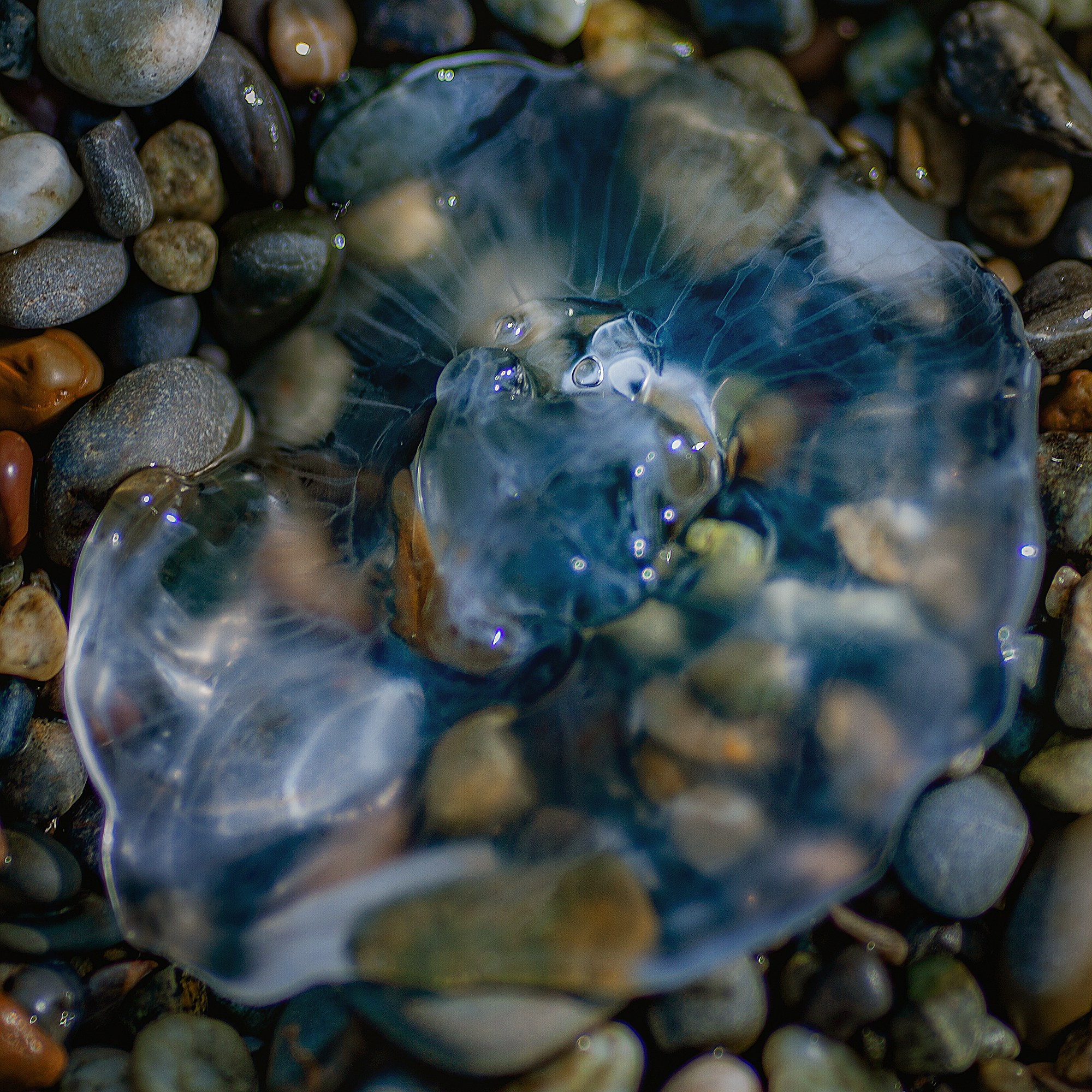 Красота вокруг нас. Медиапродюсер, фотограф в Минеральных Водах —Виктор Холодов