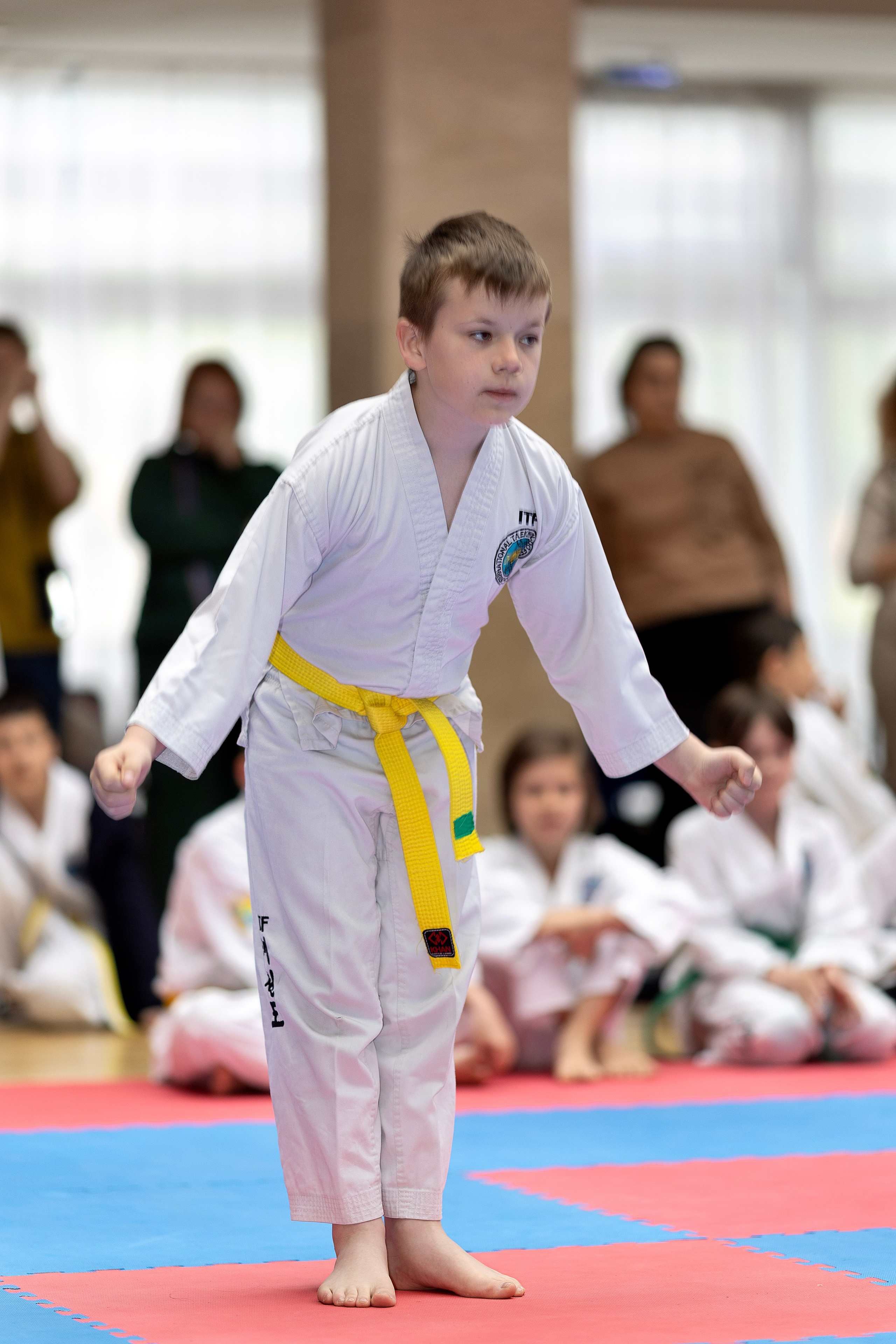 Фото турнира по Тхеквондо, проводимого в г. Железноводске. Медиапродюсер, фотограф в Минеральных Водах —Виктор Холодов