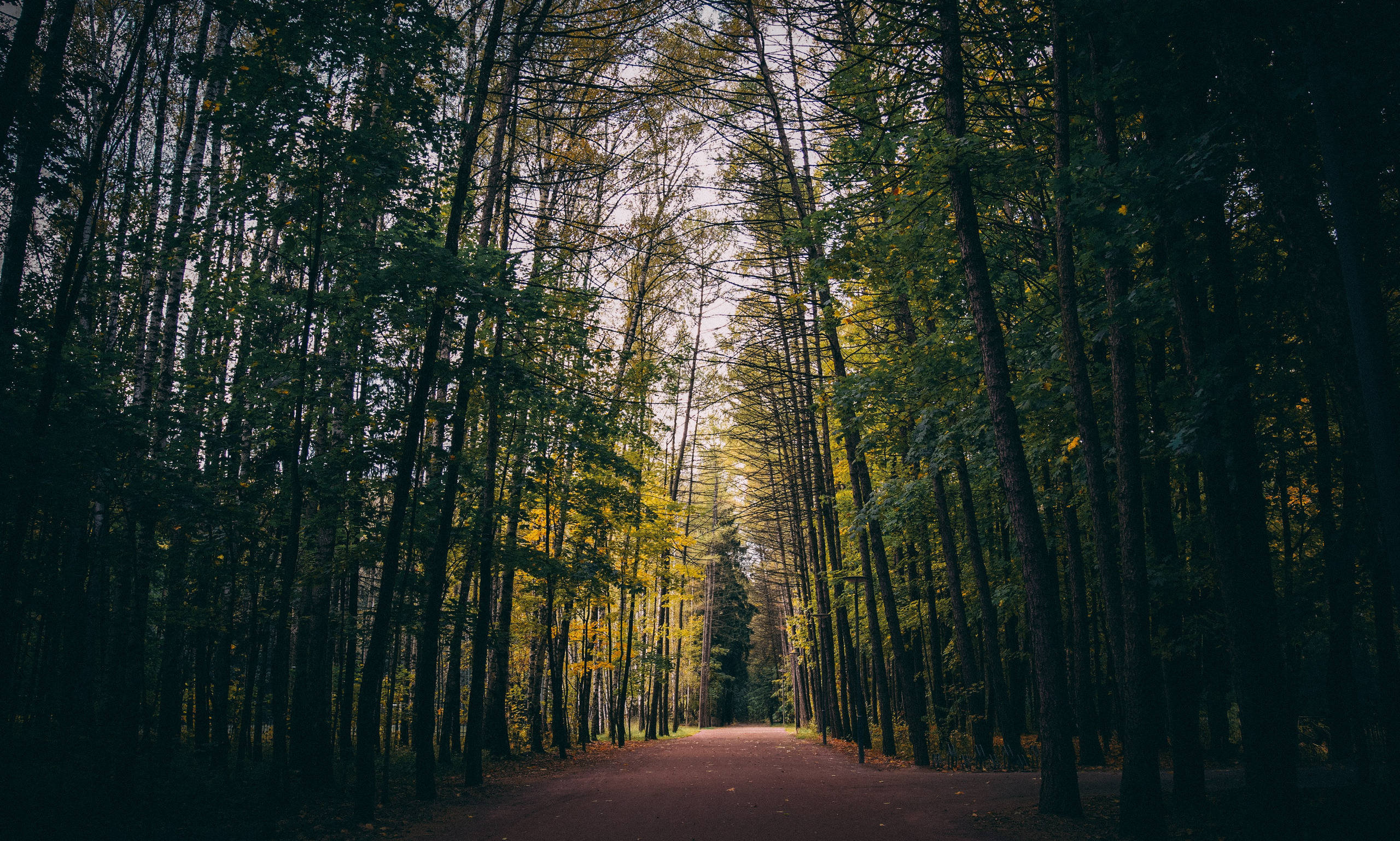 Осень 2025. Фотограф из Москвы — DASHA NOVA | Авторская фотография в разных жанрах