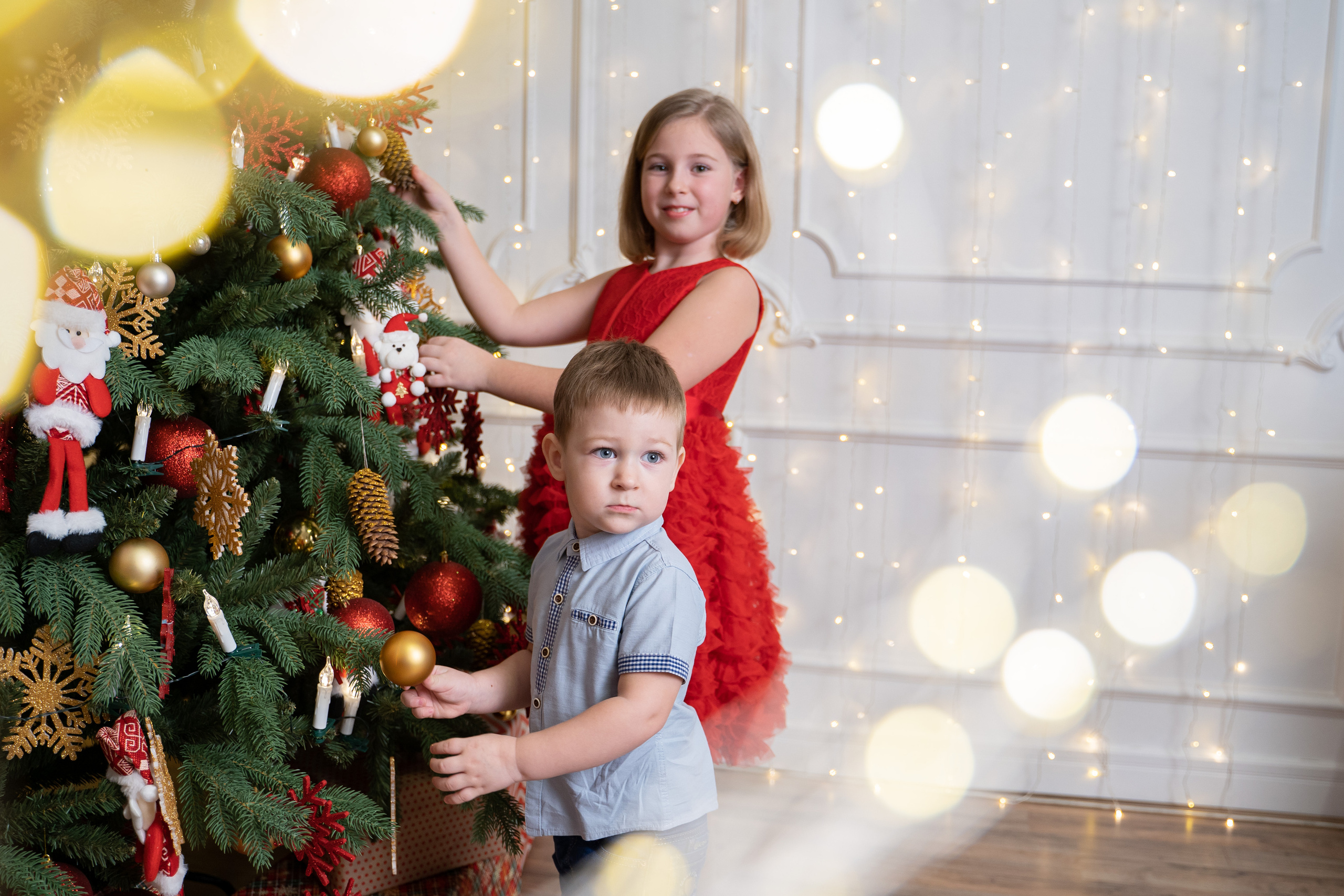 Студия. Свадебный и семейный фотограф в Жуковском и Москве Анастасия Петрова