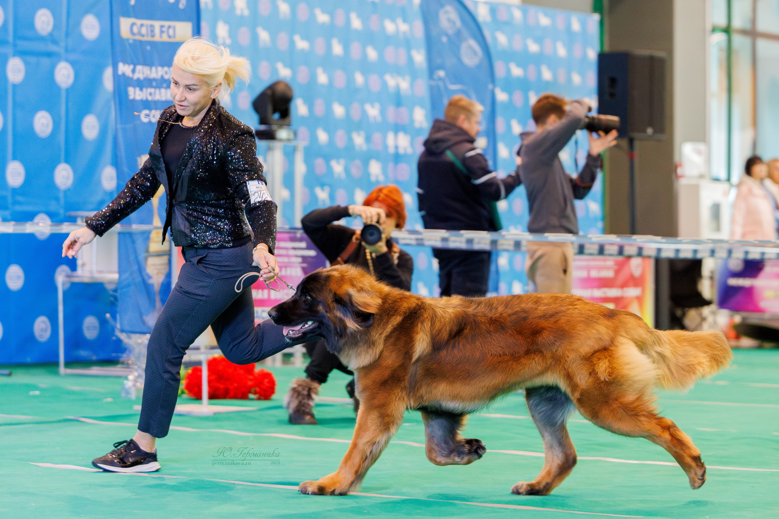Минск 23.11.2024. Фотограф-анималист Юлия Германика