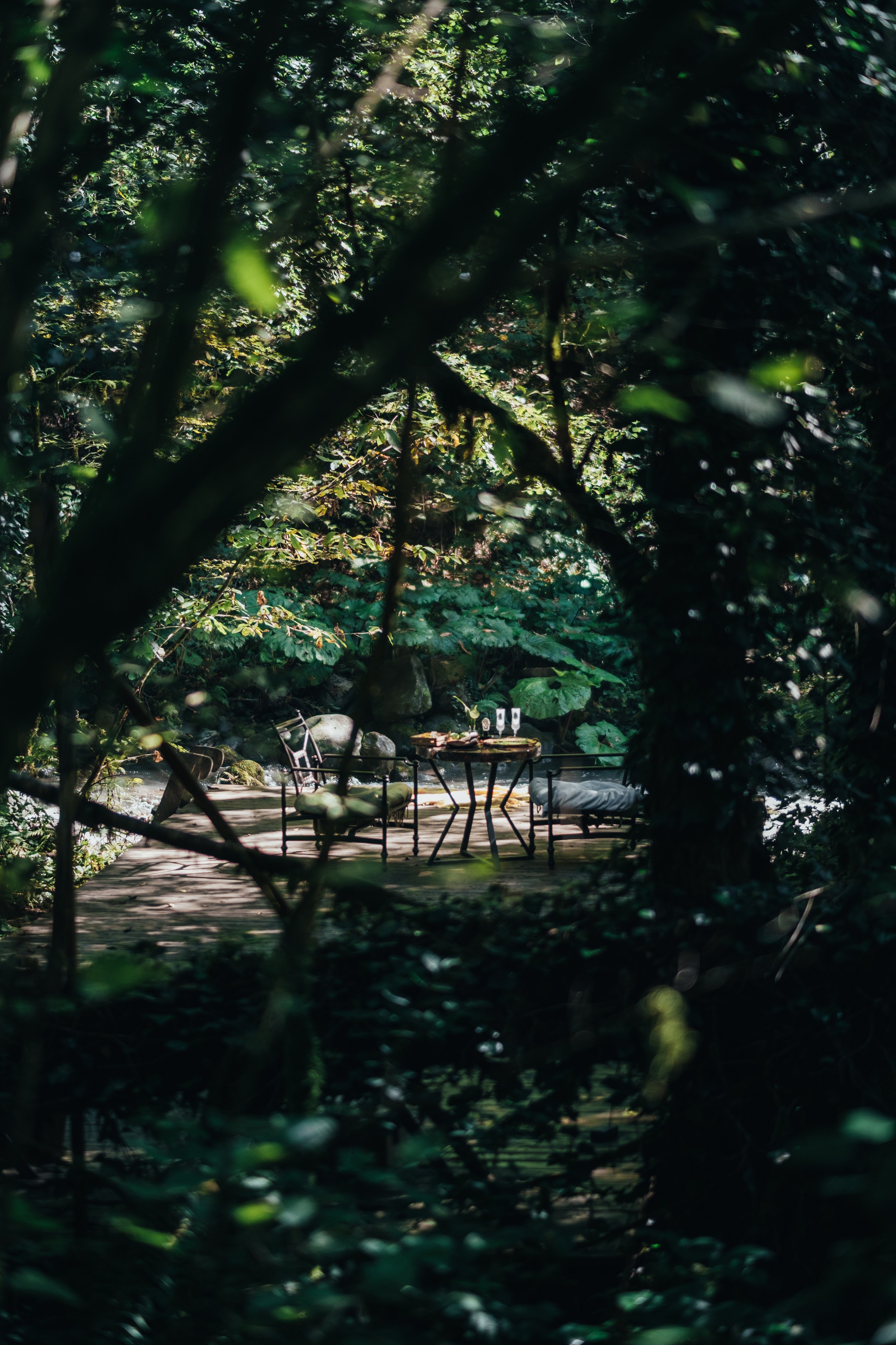 Кот и Дракон. Свадебный Видеограф Фотограф в Сочи